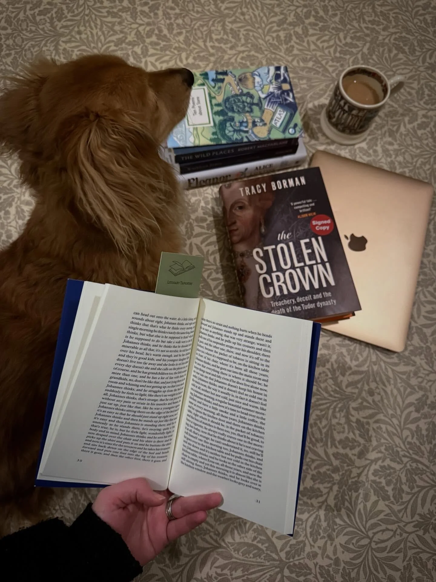 📚Book Club📚

Are you looking for a book club that truly fits your schedule? One where you don&rsquo;t have to worry about childcare, leaving your furry friends behind, or pushing through a tough day just to make it out the door? With our online boo