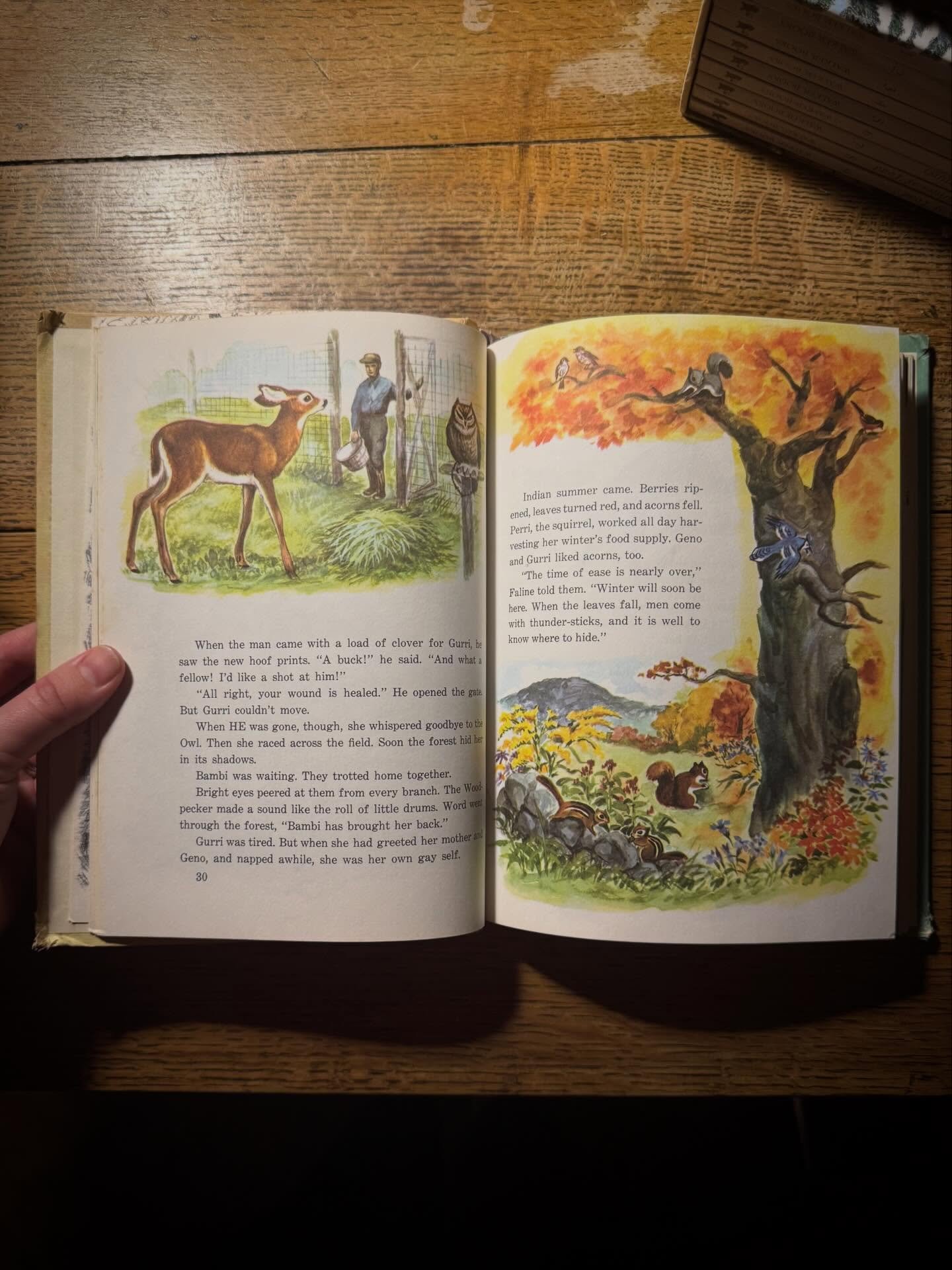 ✨See inside some of the latest additions of second-hand &amp; rare editions✨

There is such joy when opening an old book to discover incredible illustrations throughout. Upon valuing our latest collection I discovered some beautiful illustrations fro