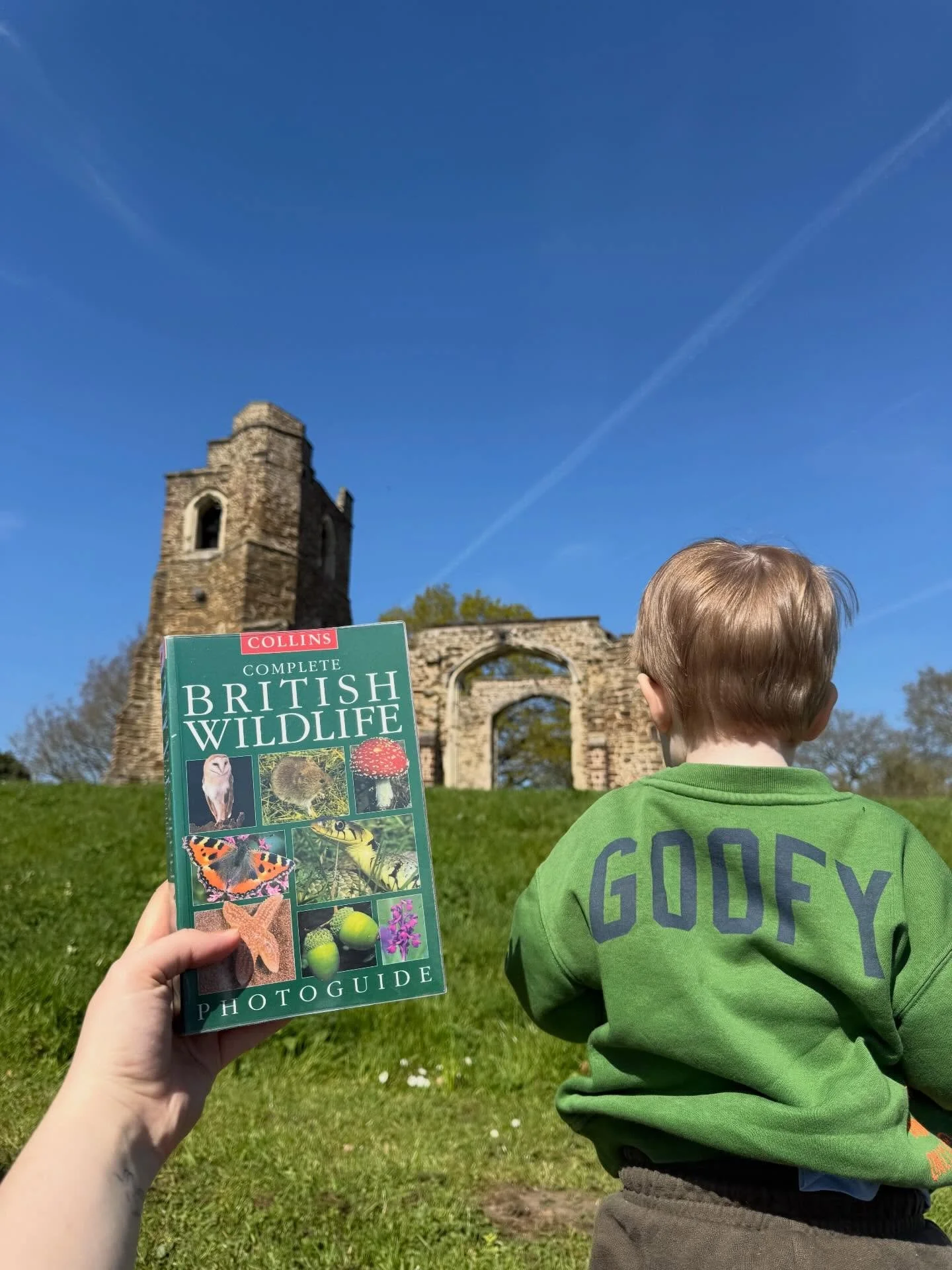 The trusty wildlife guide came out with us today as we spotted lots of red kites circling overhead on our bike ride 🚲🪶

We stopped to sit and read, shared slices of homemade simnel cake, and wandered slowly through the local church ruins. The kind 
