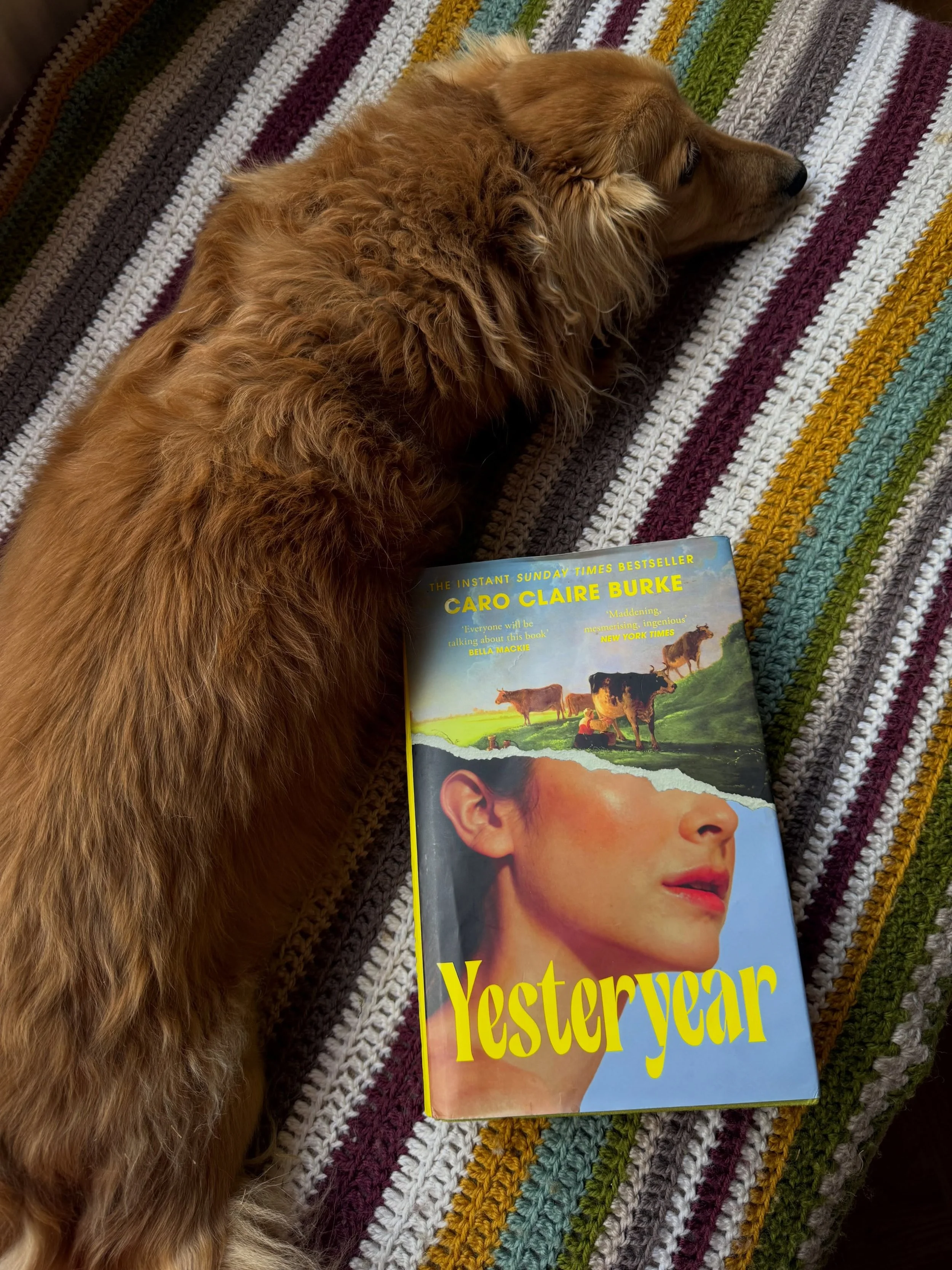 The heatwave has been a tad unbearable for this autumn lover I shall not lie. But with teacher gifts, birthday book bundles and some baby shower collections it has been a busy few weeks here at LT.

So when my toddler is asleep, and the husband is wo