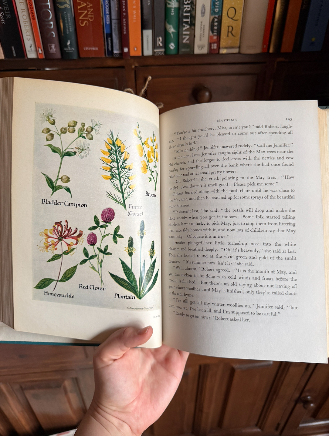 Screenshot 2026-01-11 at 13.00.57.png