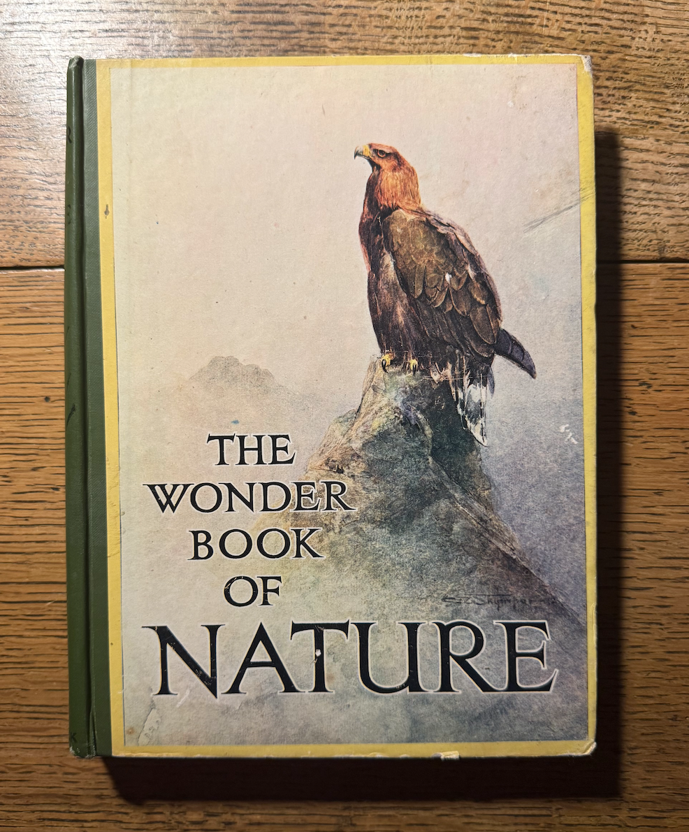 Screenshot 2026-02-08 at 20.05.01.png