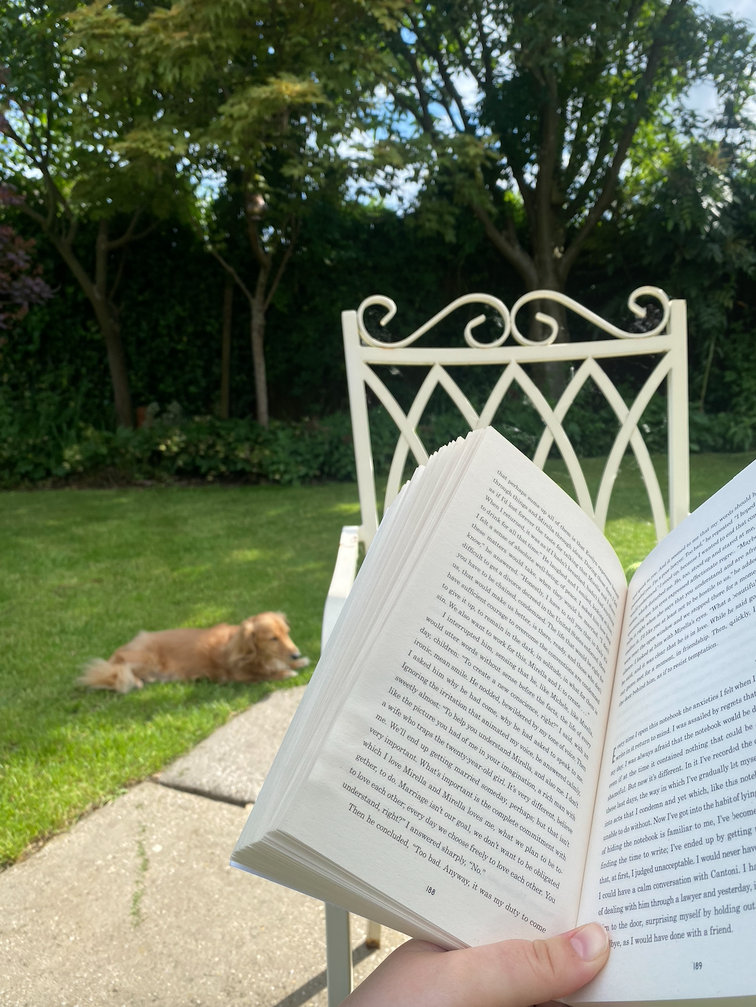 Screenshot 2026-04-06 at 20.08.14.png