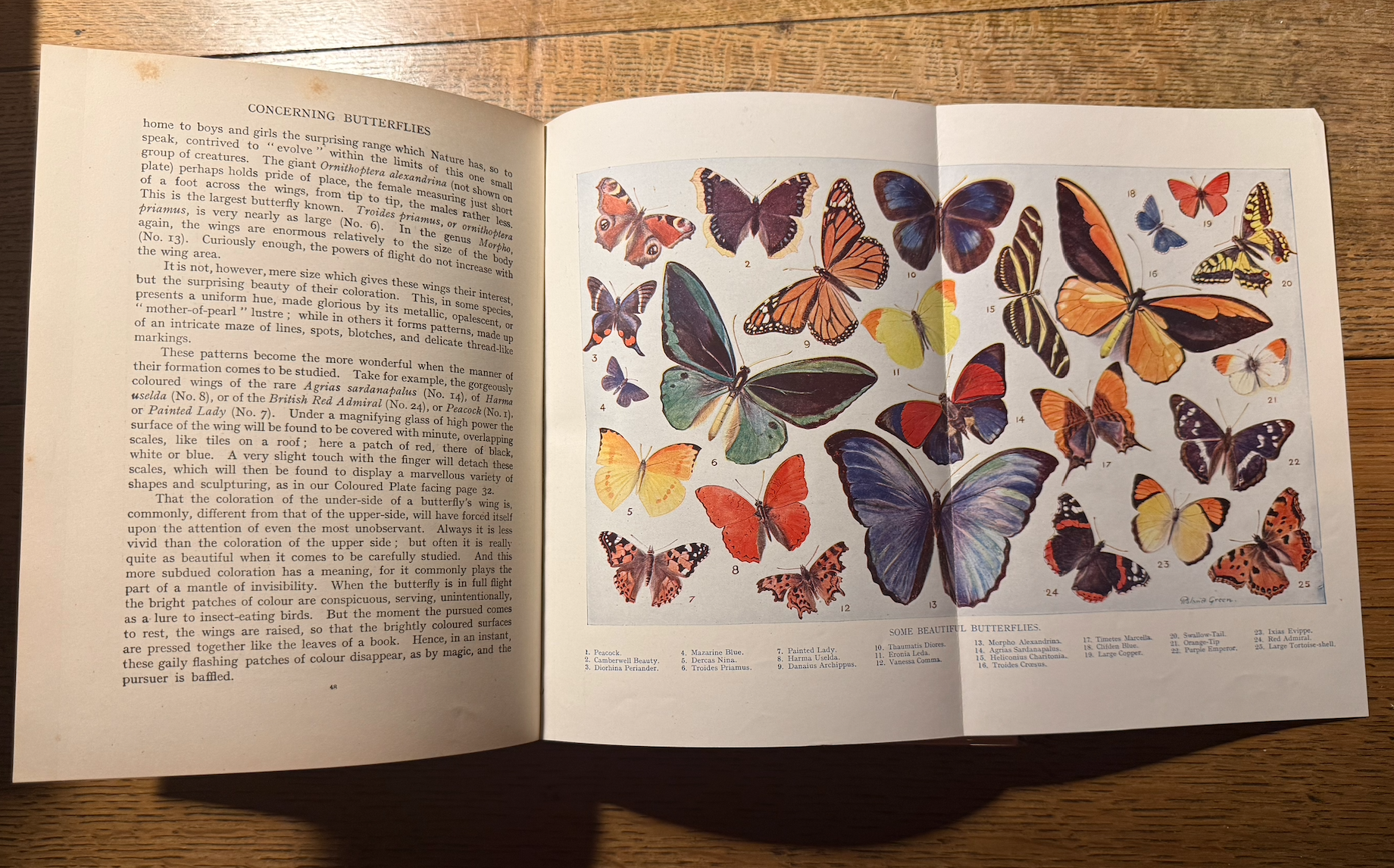 Screenshot 2026-02-08 at 20.05.18.png