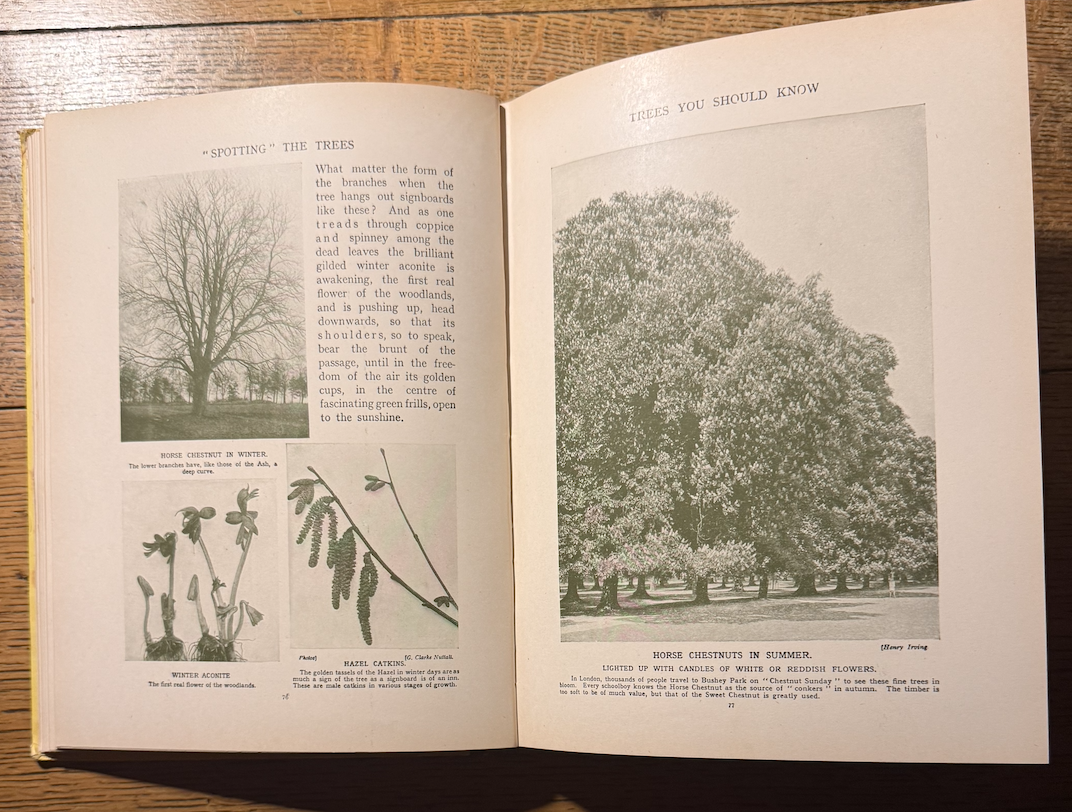 Screenshot 2026-02-08 at 20.05.28.png