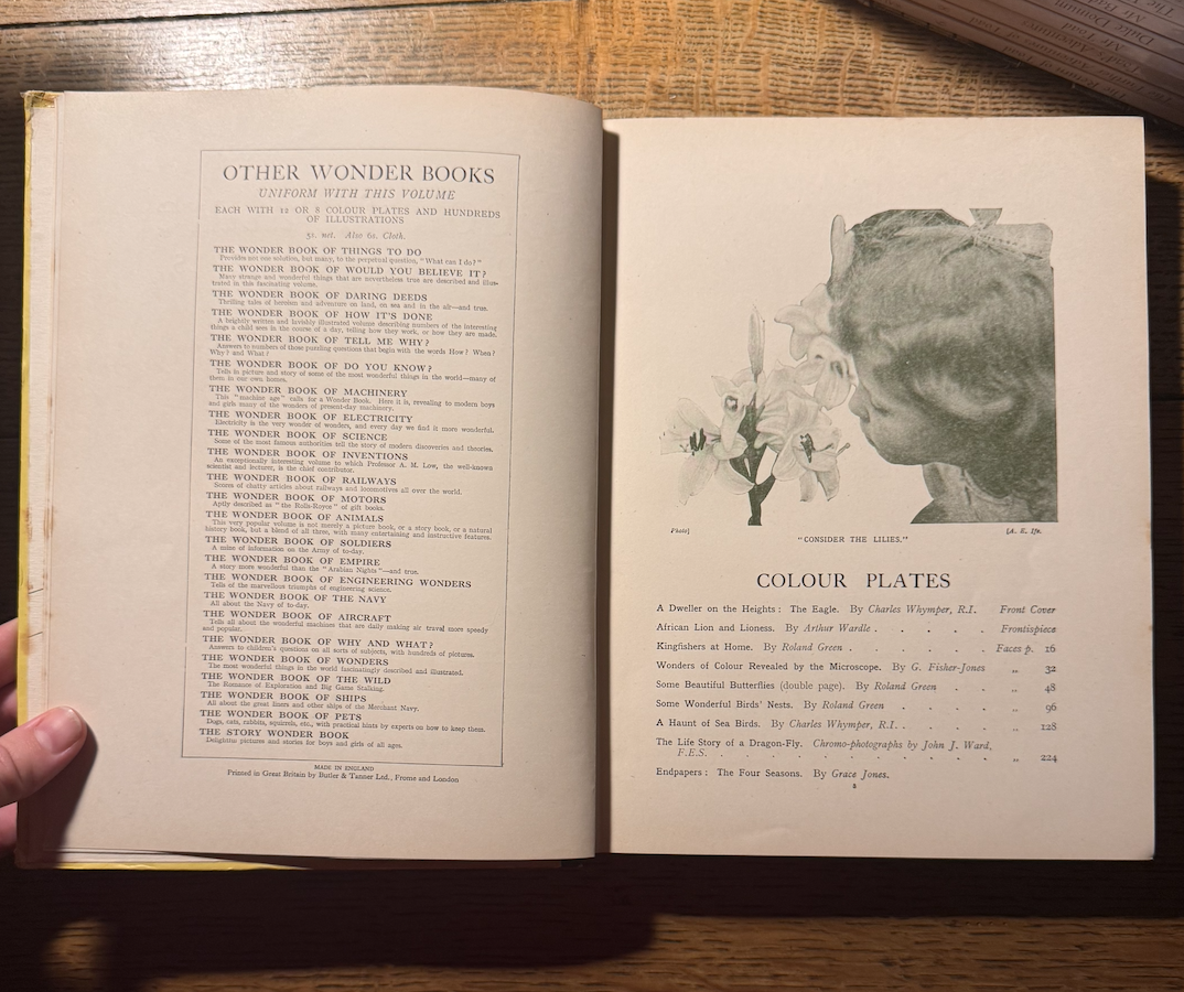 Screenshot 2026-02-08 at 20.05.46.png