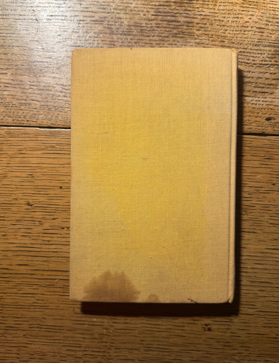 Screenshot 2026-02-08 at 19.41.35.png