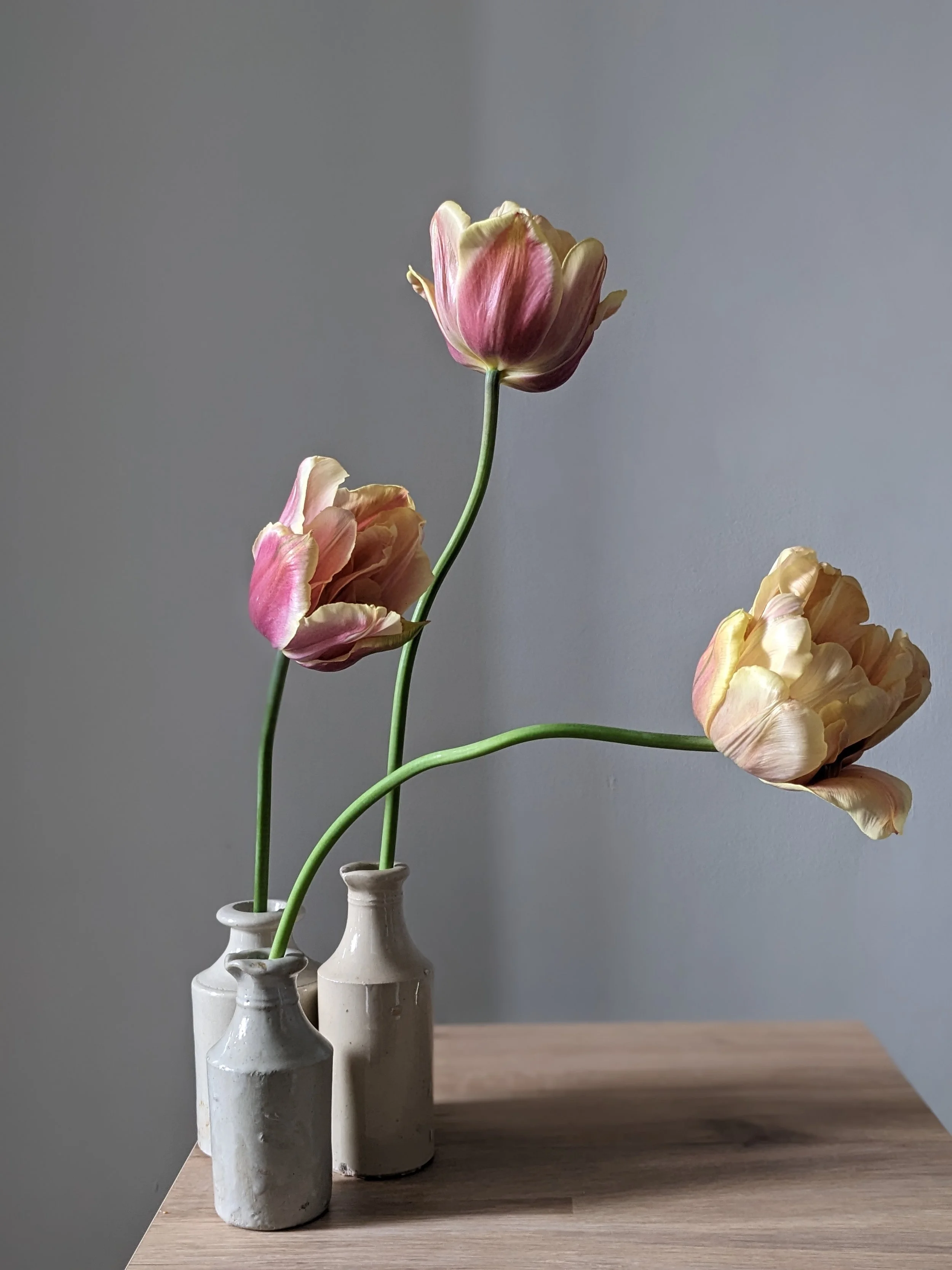 Belle epoque tulips in bud vases