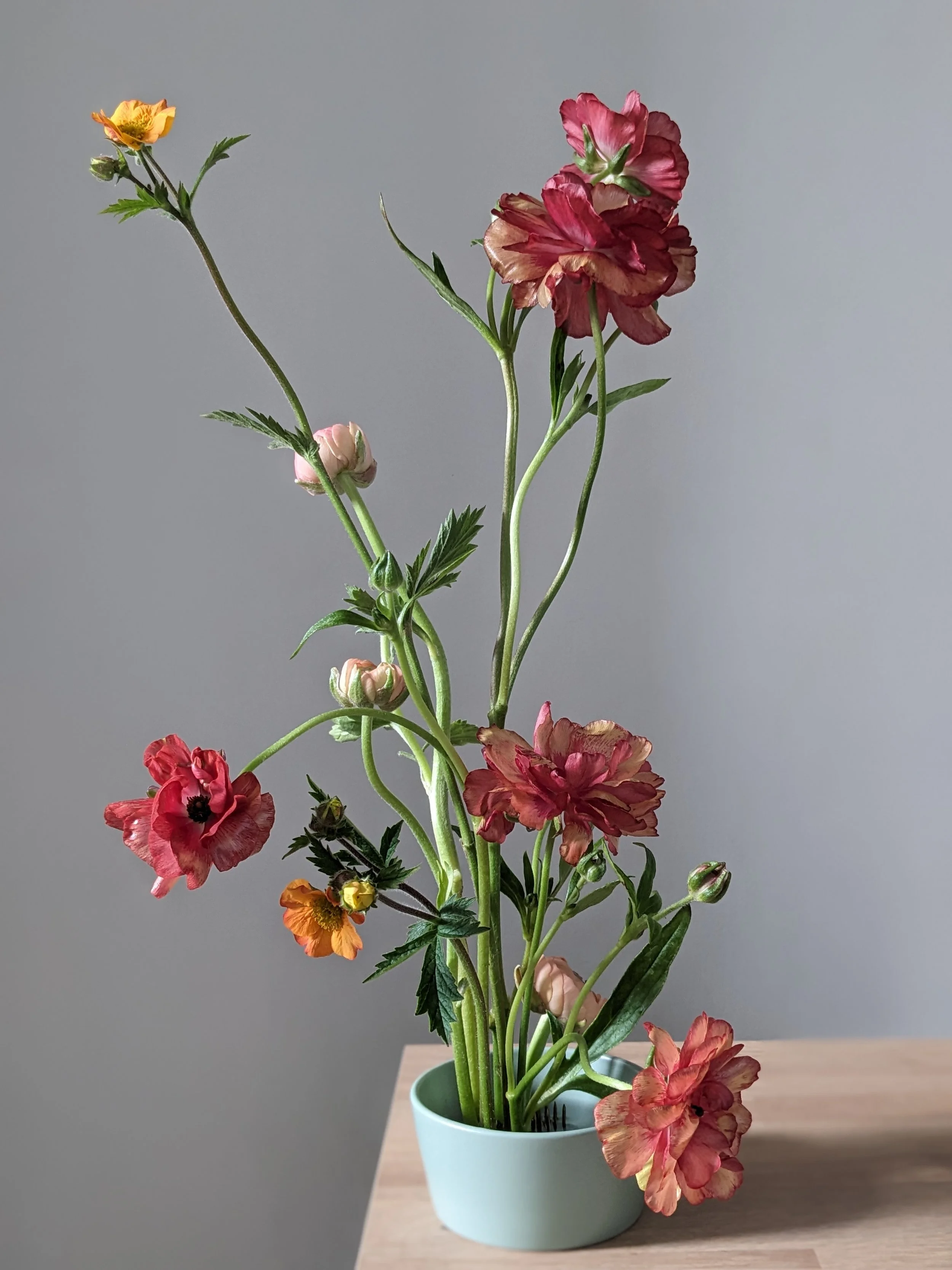 Butterfly ranunculus and geum ikebana table arrangement