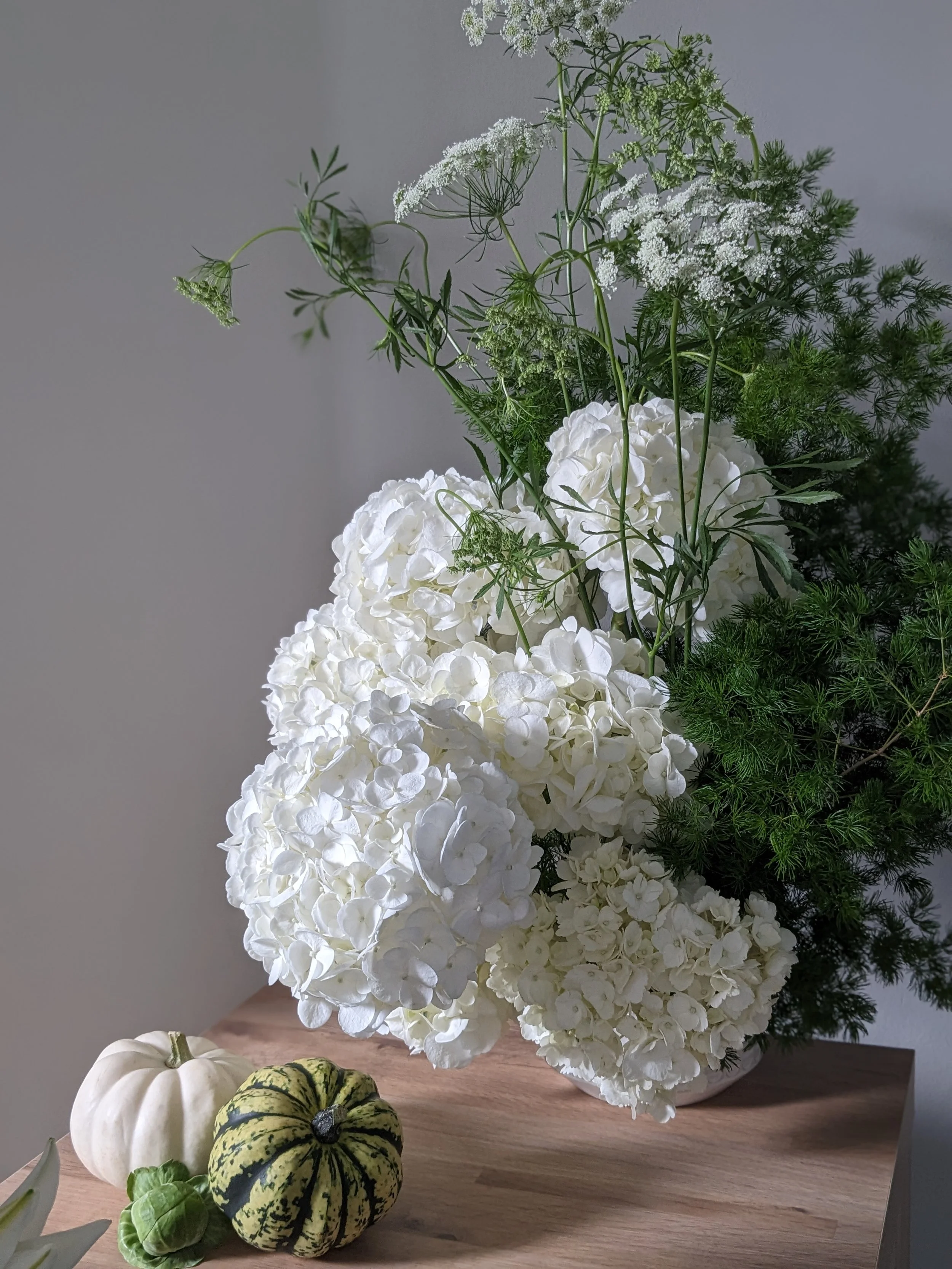 Vase of white hydrangea and green fern
