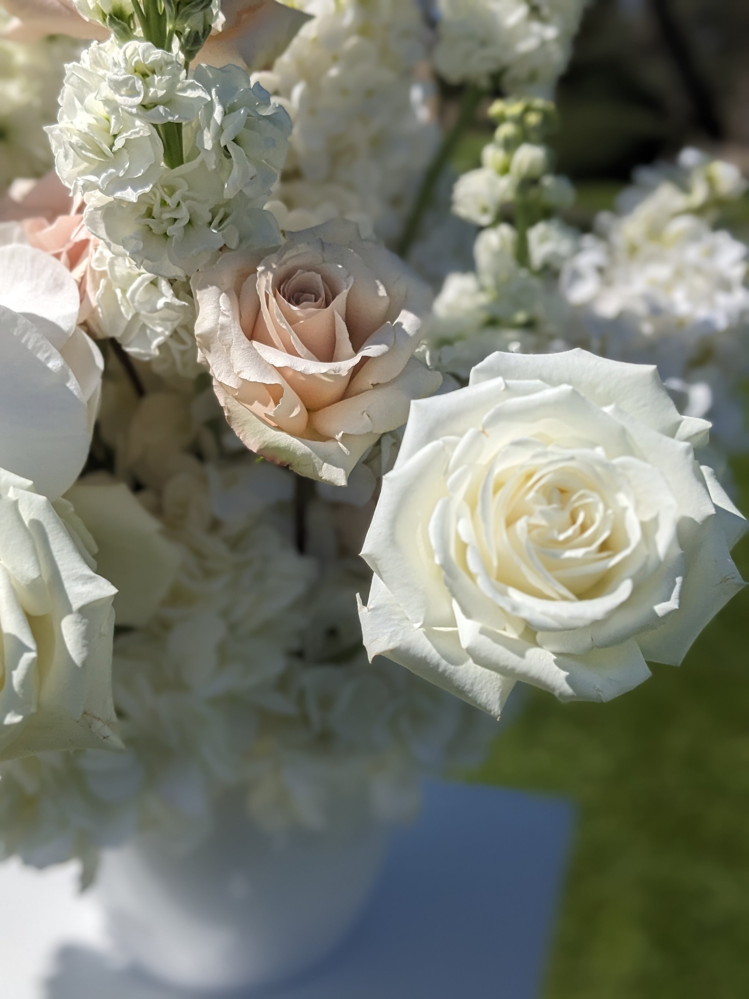 White rose flower arrangement
