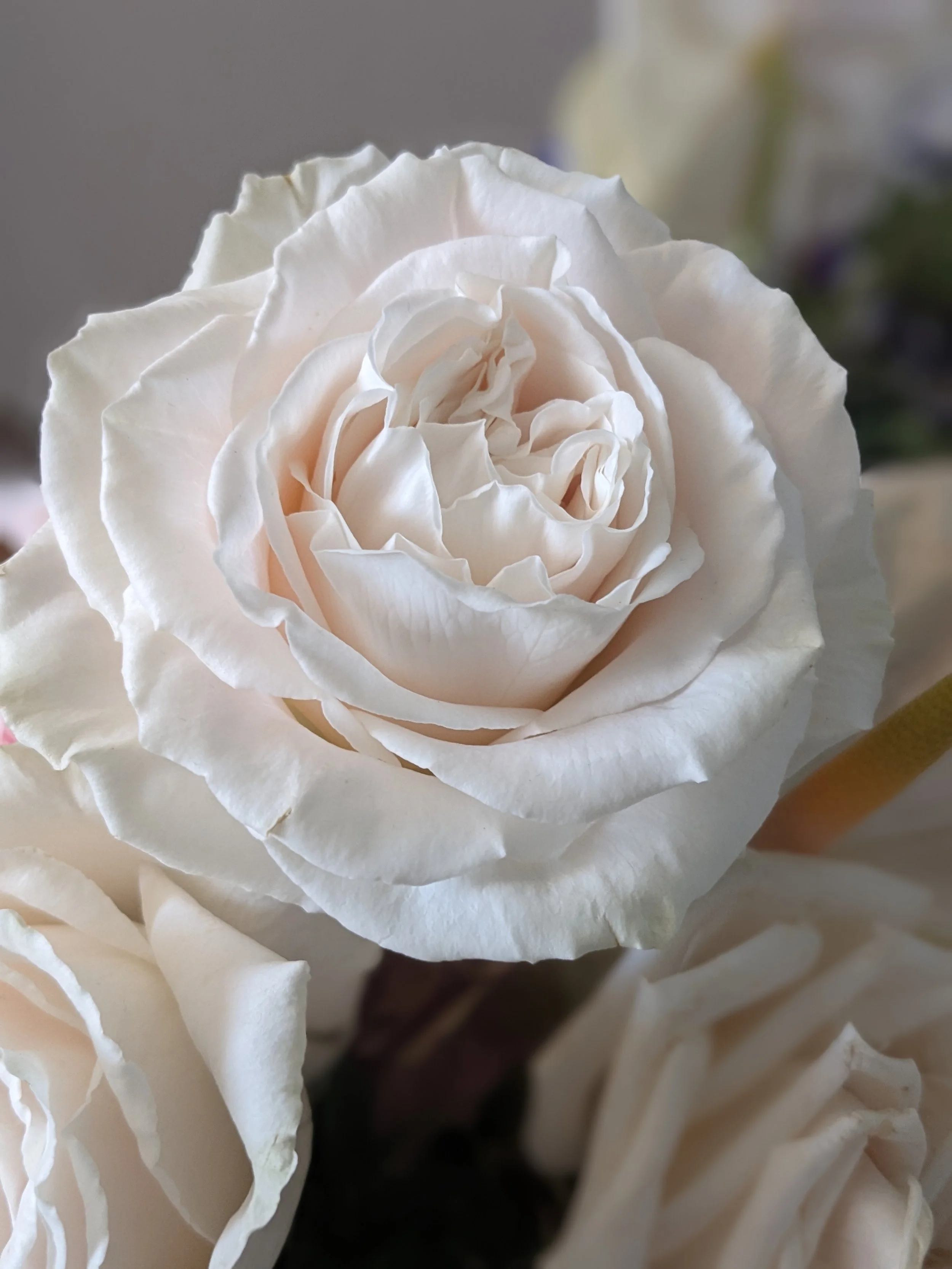 White Playa Blanca rose wedding flowers