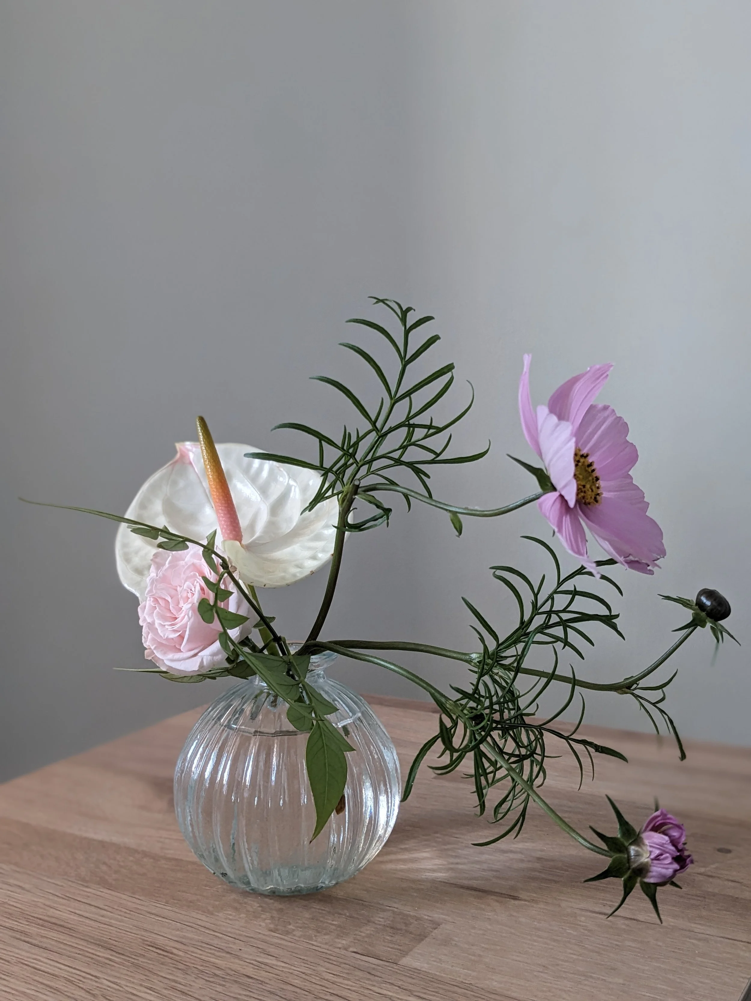 White anthurium and pink cosmos bud vase