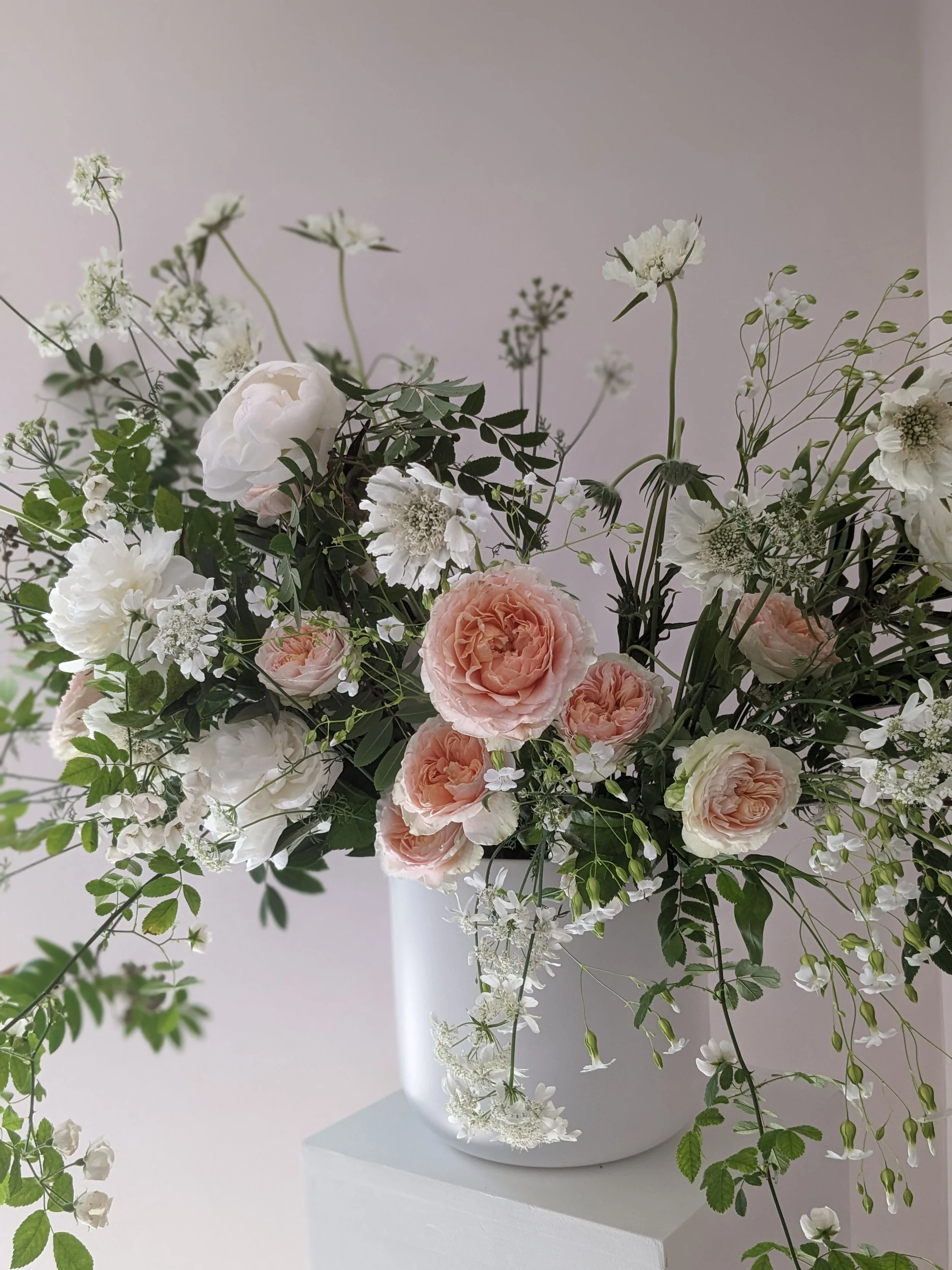 White and peach flowers