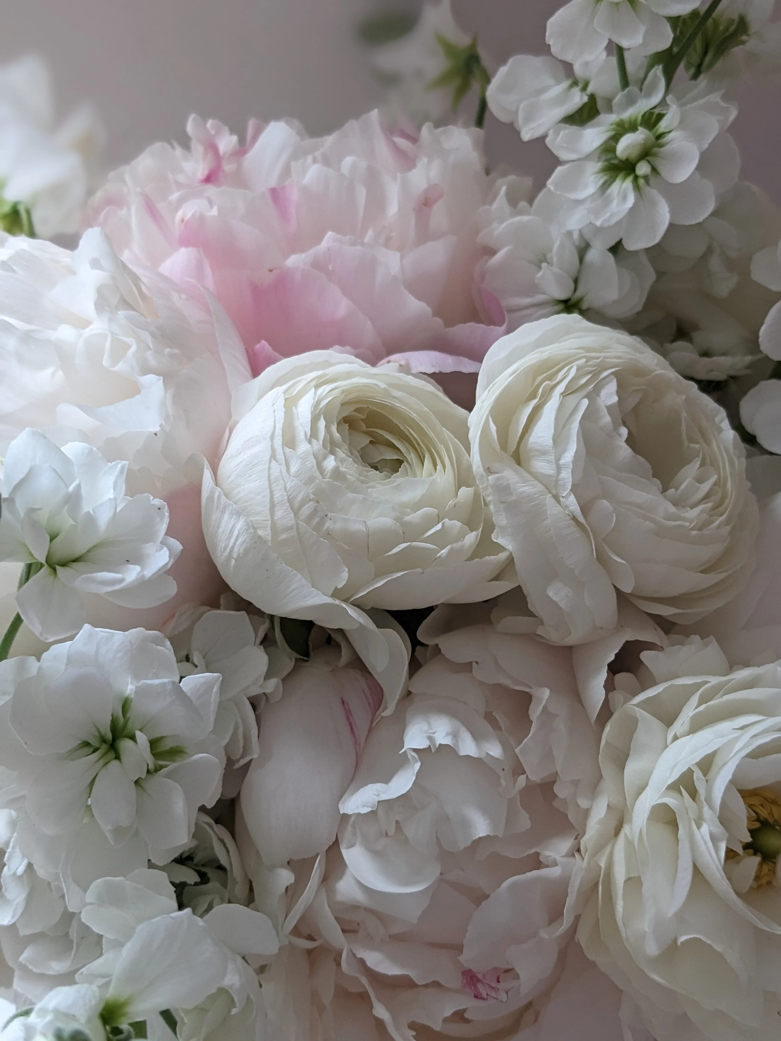 Ranunculus and peony