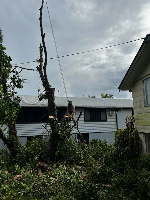 A person wearing a baseball cap and gloves chopping a fallen tree on a residential property under a cloudy sky.