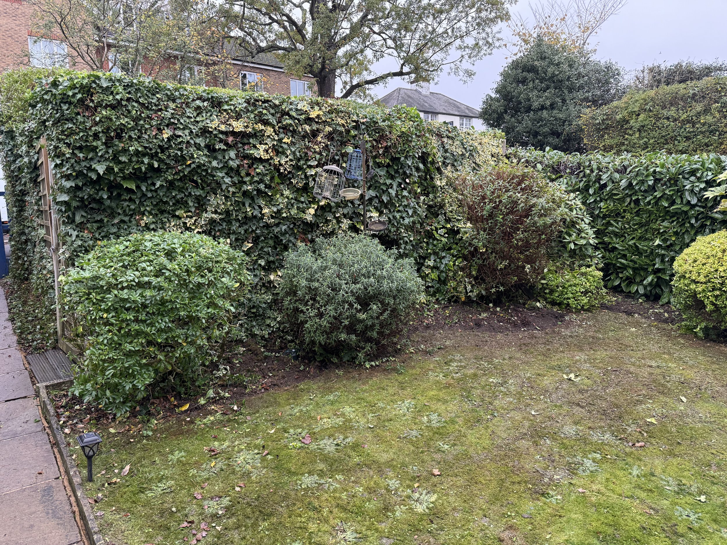 Gardening Maintenance/Clearance