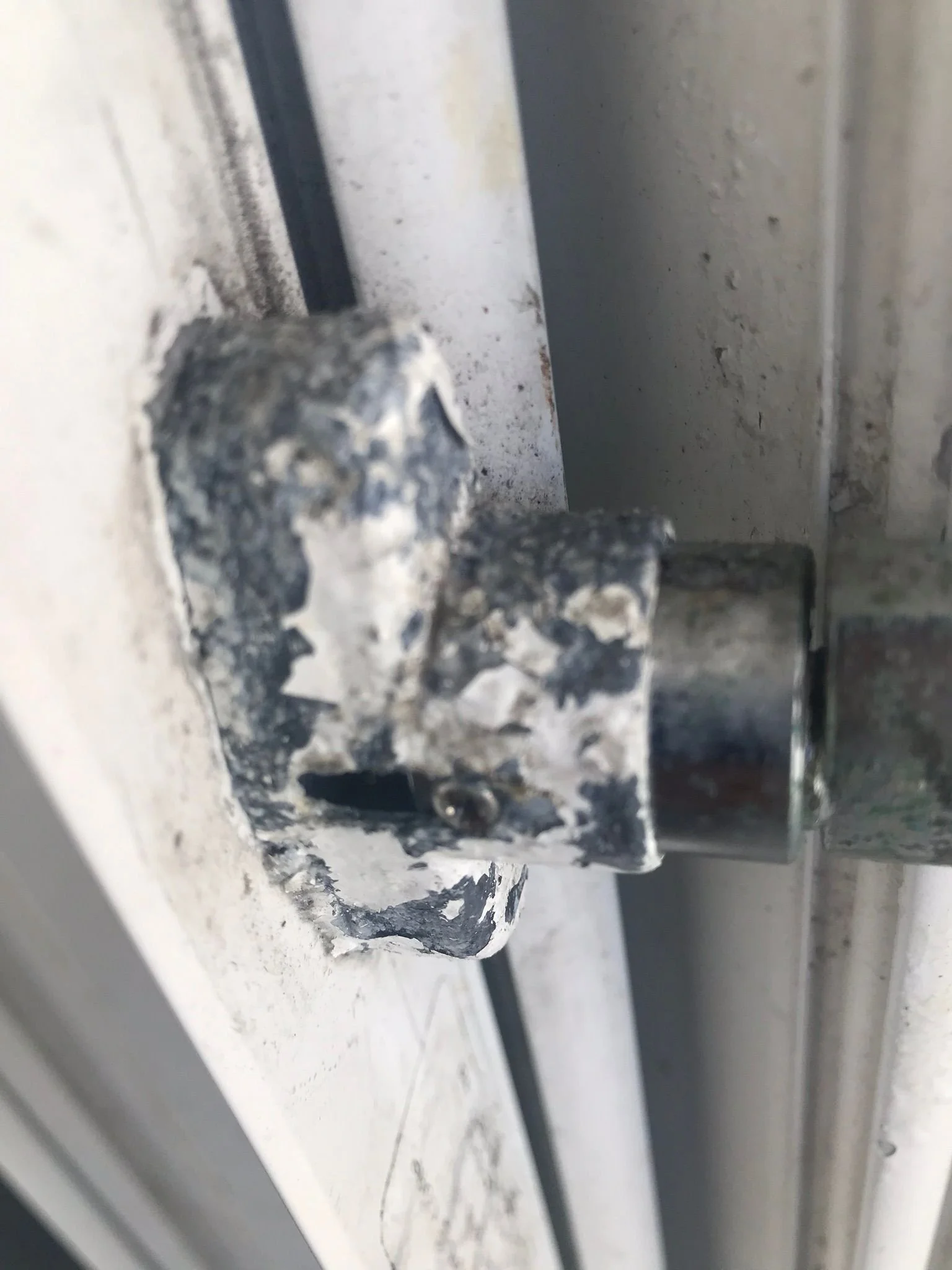 PHOTO-2022-07-27-20-03-59 2.jpg