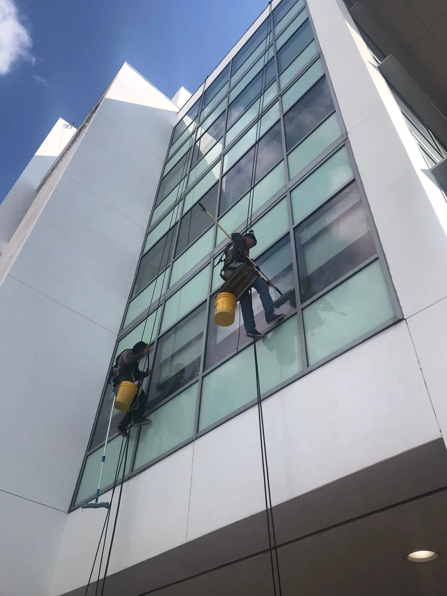 Two window washers cleaning the glass exterior of a modern multi-story building on a sunny day.