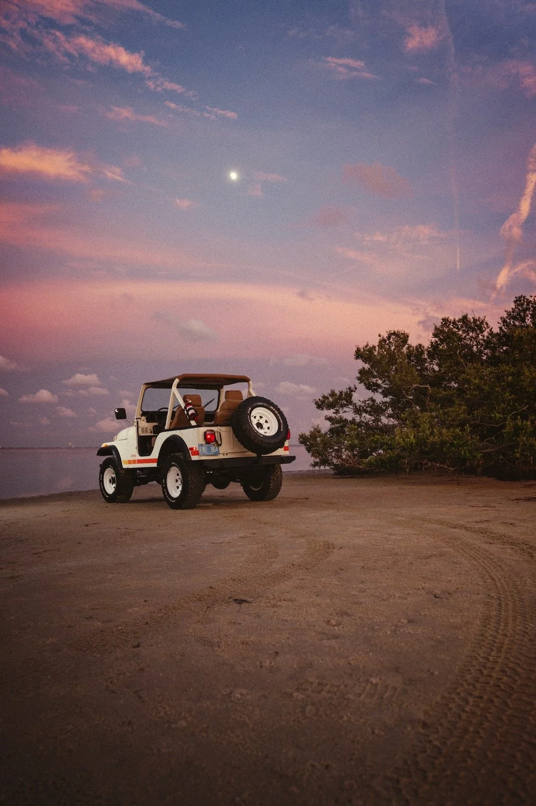 Jeep_DeSoto_14_Grain.jpeg