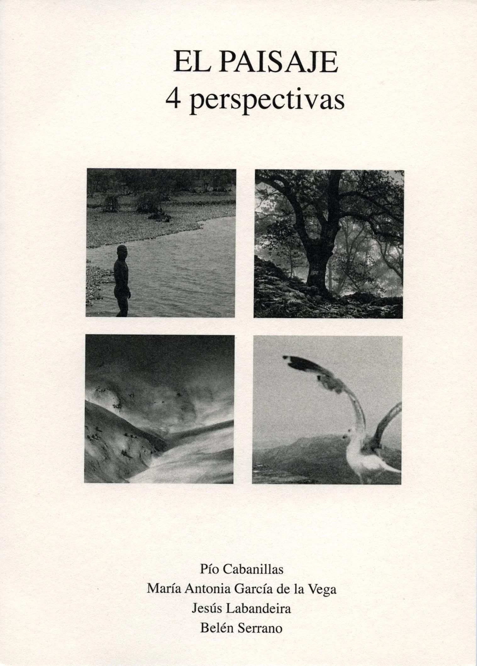 img20260114_17494338 copia.jpg