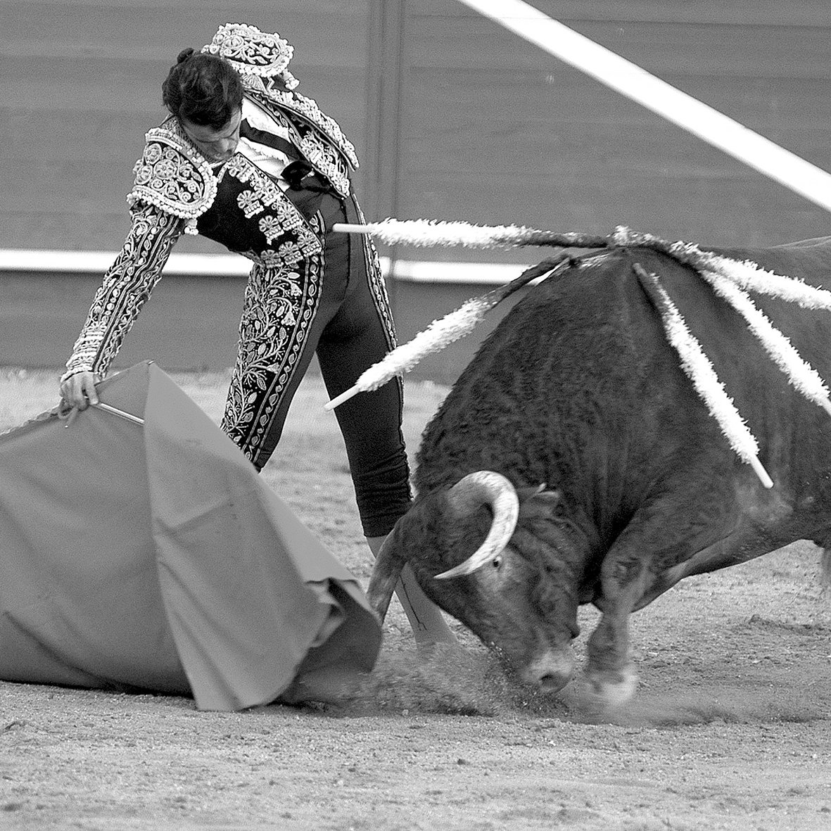 DSC_0074 copia 3.jpg