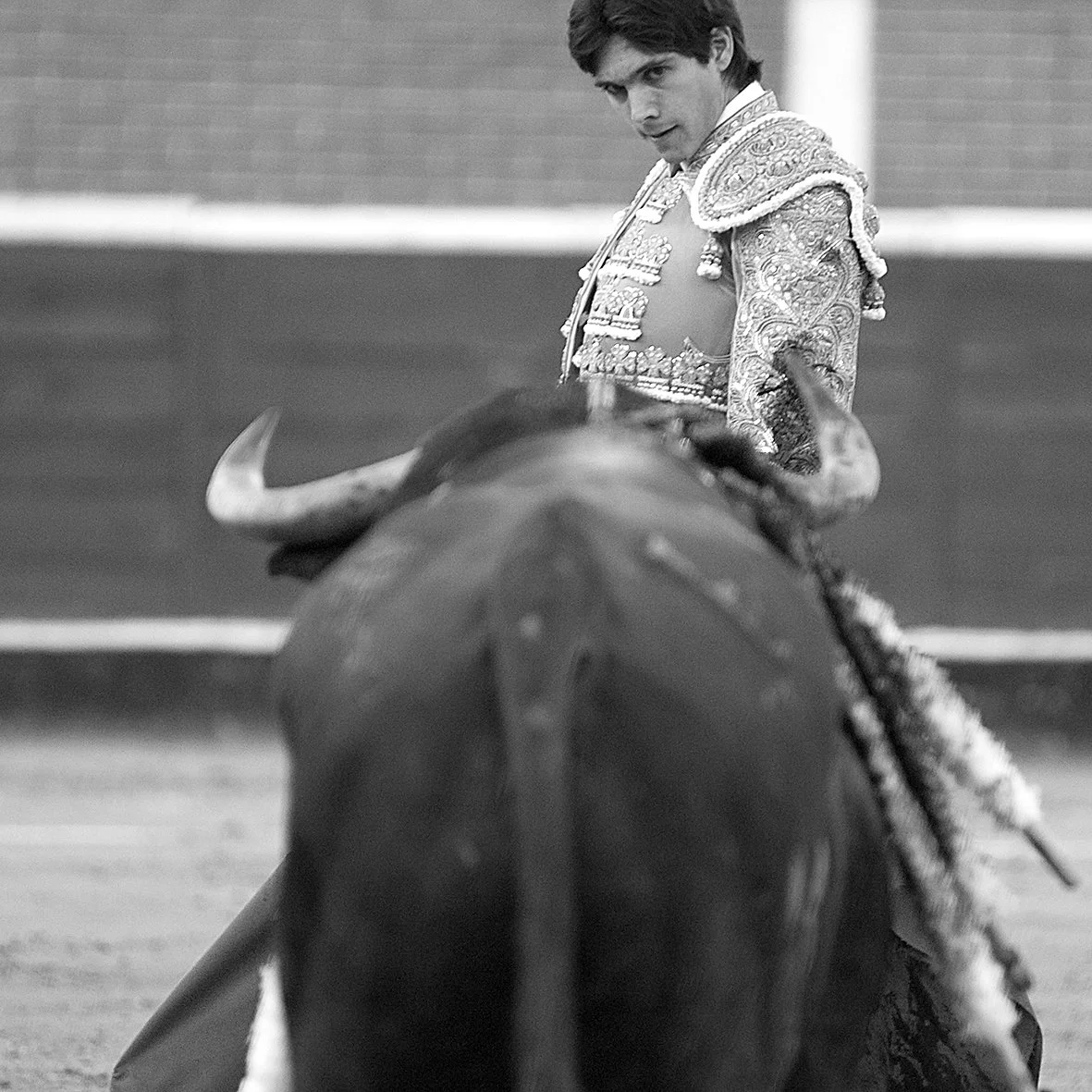 DSC_0043 copia copia 2.jpg