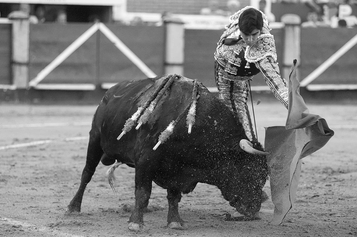 DSC_0148 copia copia 2.jpg