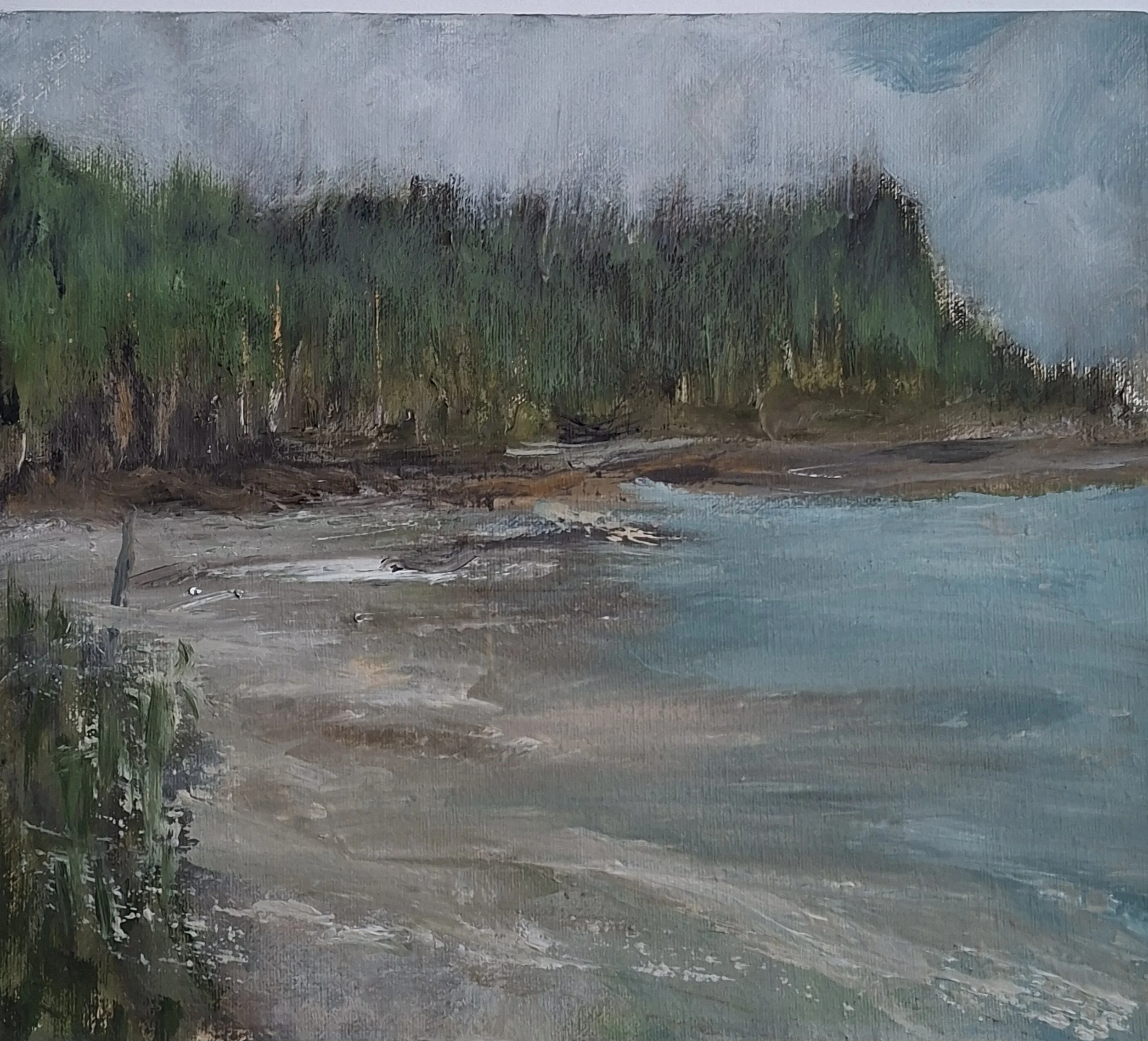 Summer on Dorrins Strand