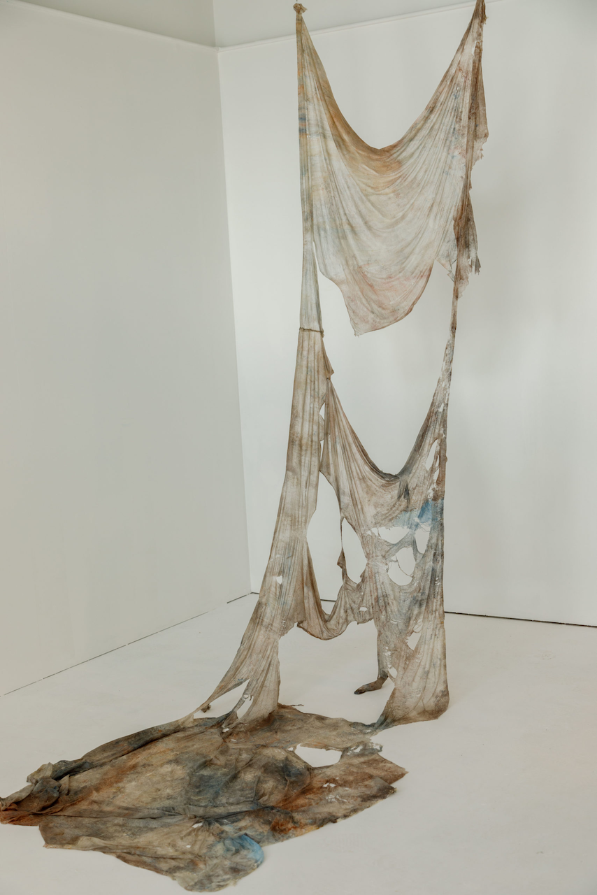 Nadia Tamerli, Grotto, 2023, latex and acrylic, With Their Backs to the Sky, Scenius Gallery Sligo. Photo courtesy Irish Arts Review