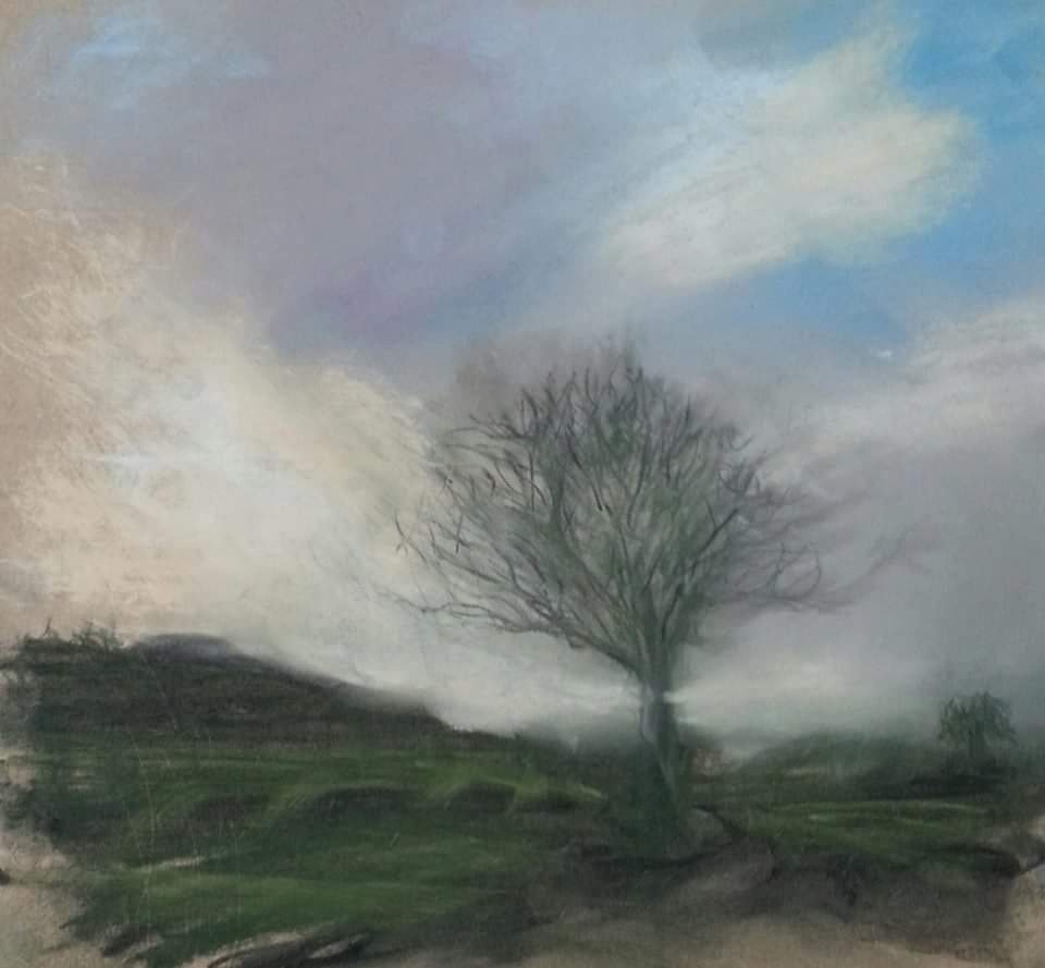 Small tree below the Hill