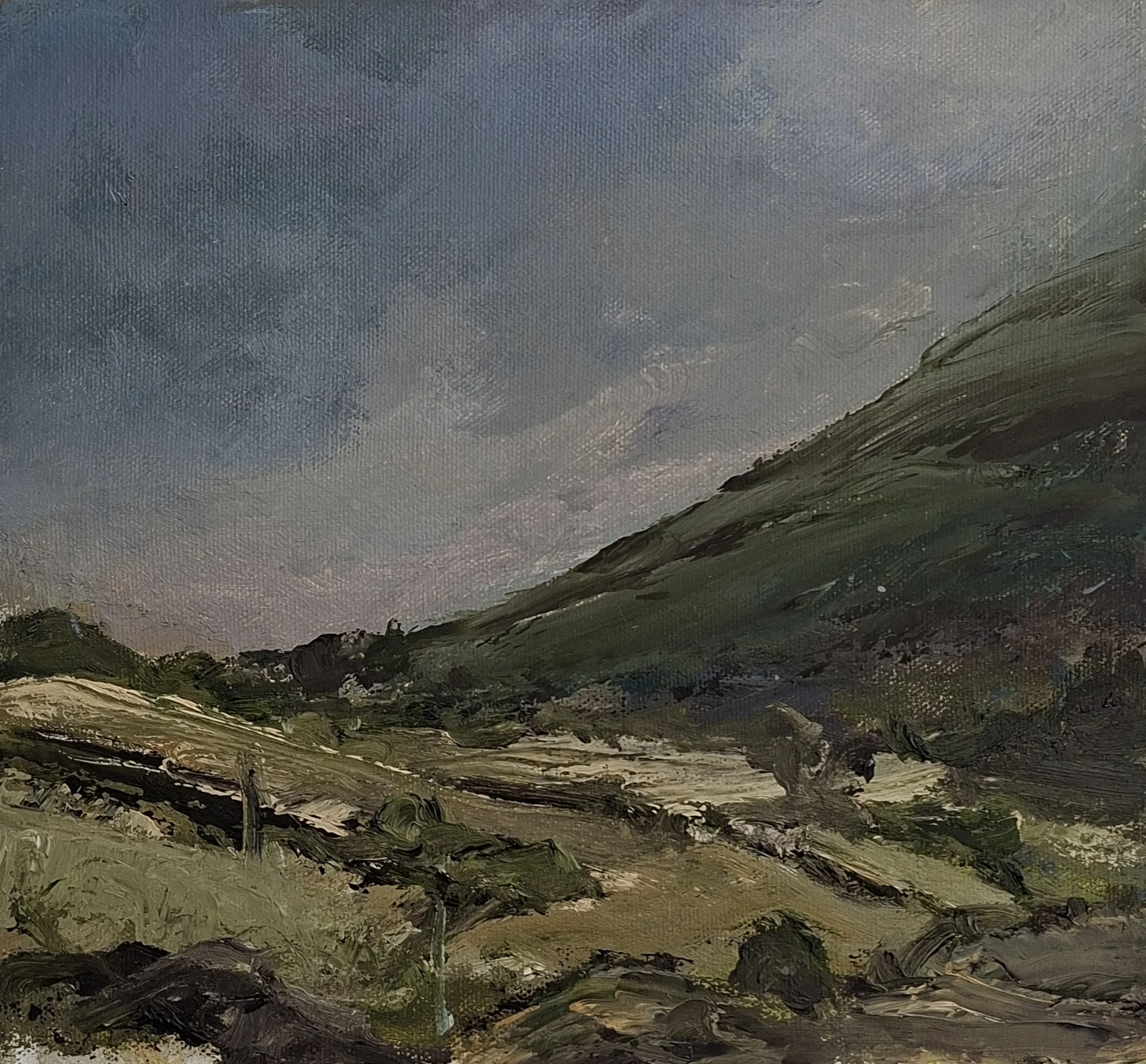 June storm over cut fields
