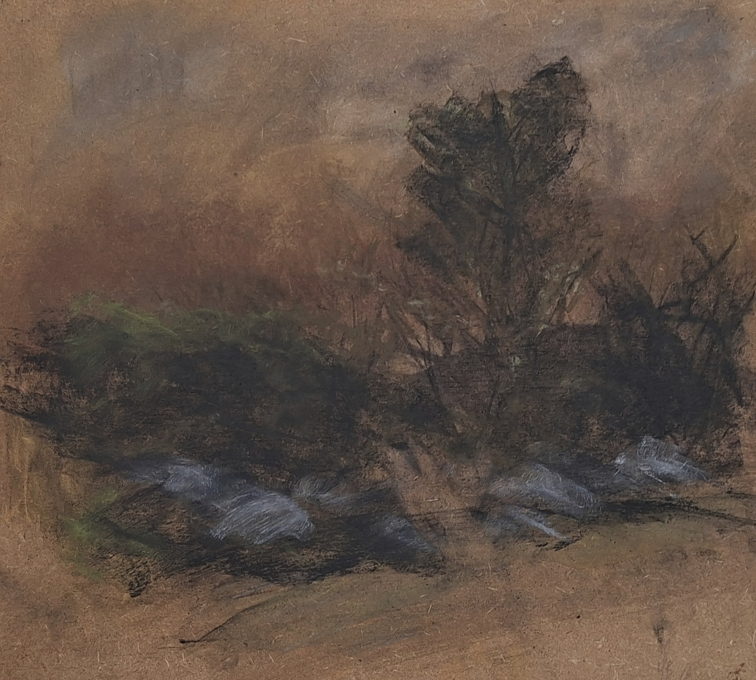 Hedge and Stones