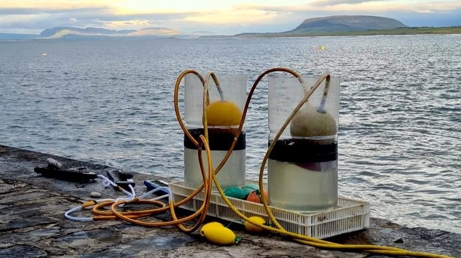 Blow-in, a wave-powered sound installation by Ian Jermyn, with two collection chambers on a stone pier at dusk.