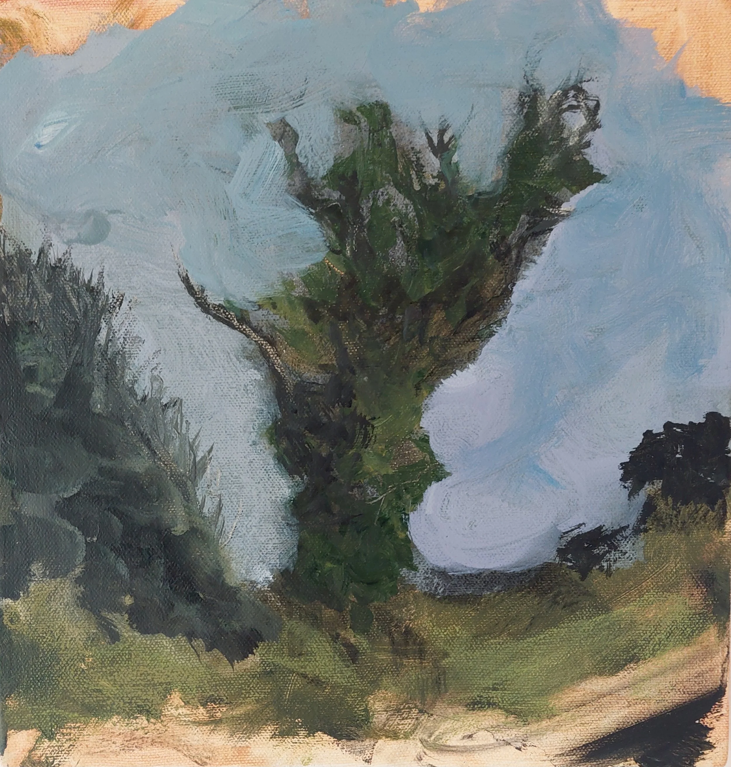 Dead tree full of life