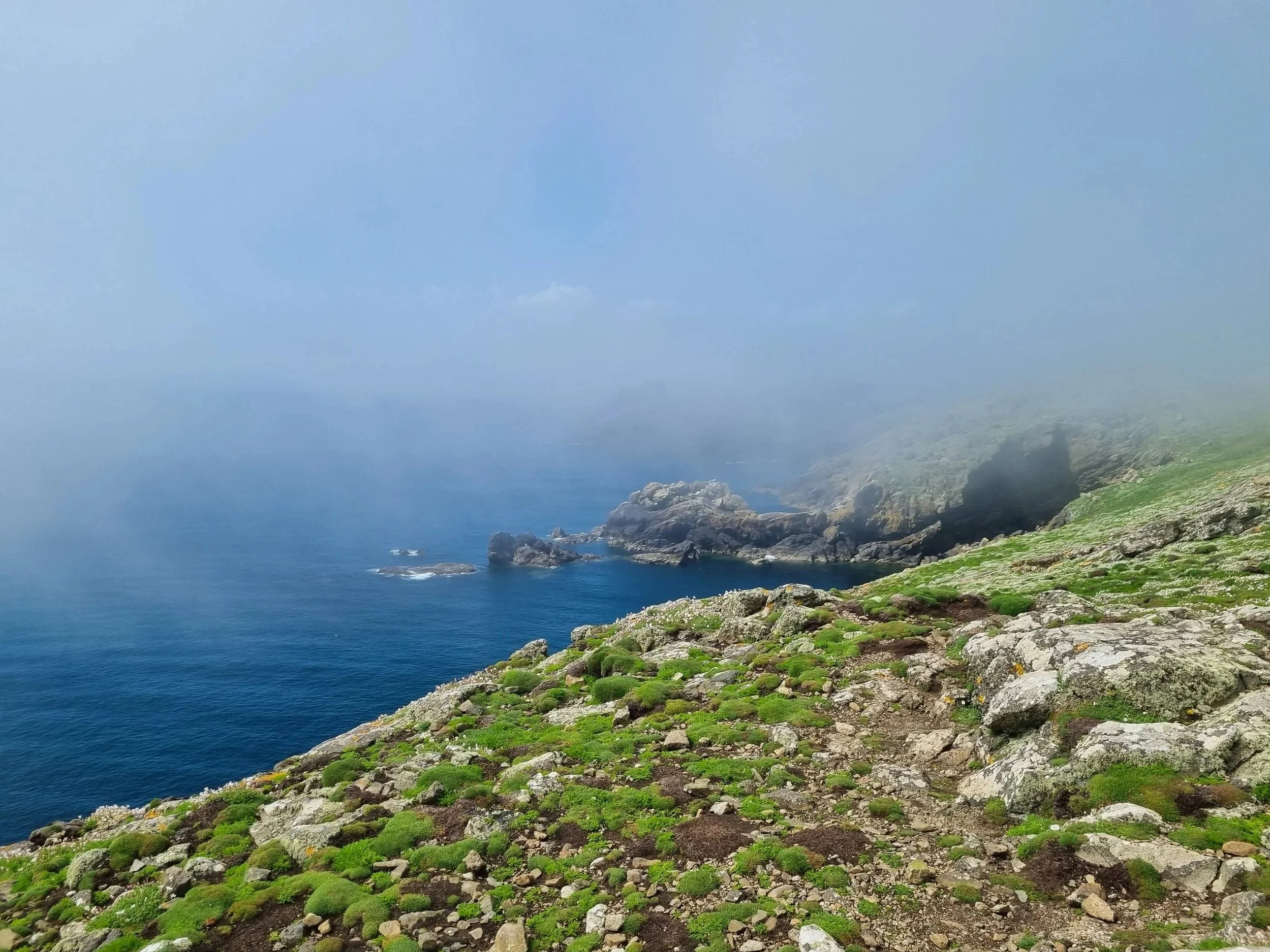 A coastal landscape with rocky shoreline covered in green moss, facing the ocean with distant cliffs under a hazy sky.