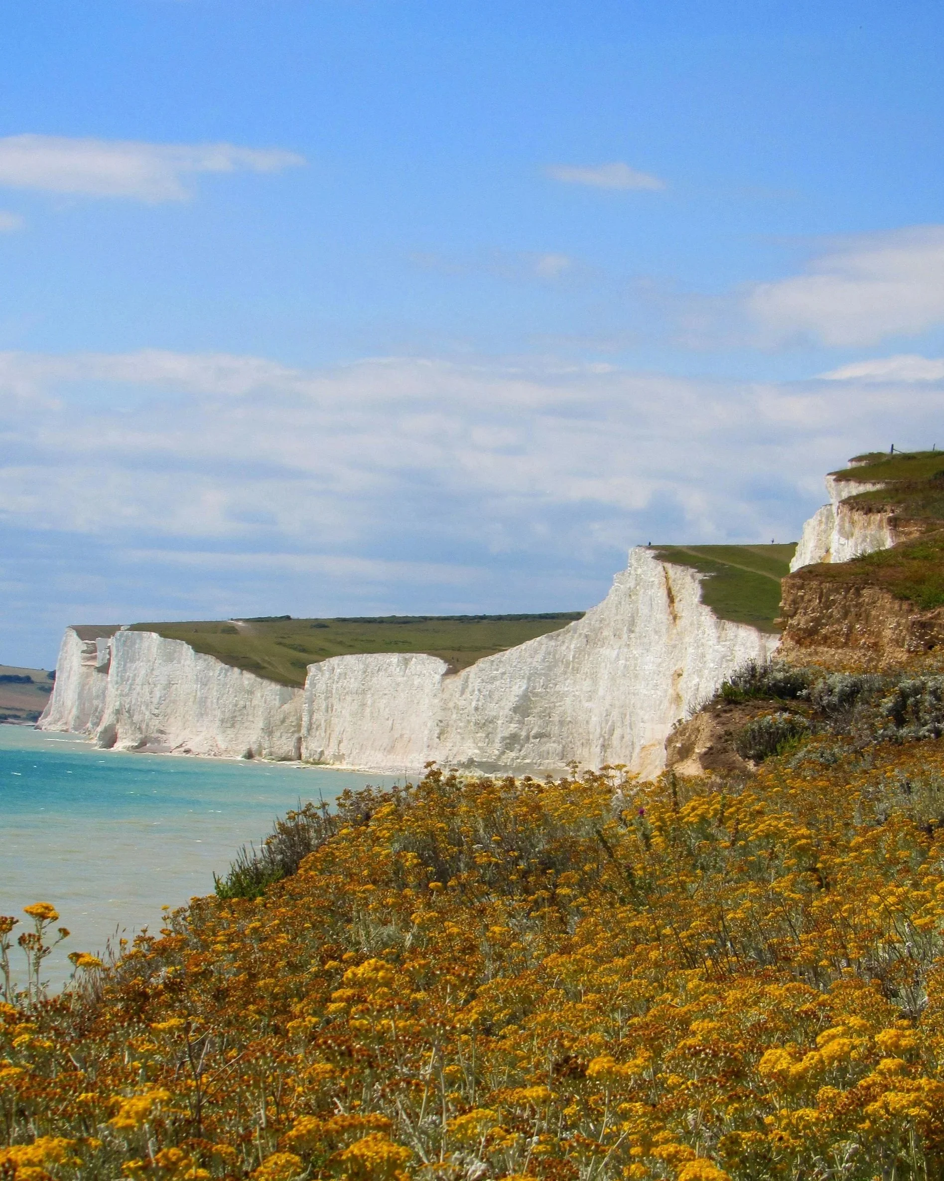 White chalk cliffs along the coast with greenery on top, under a blue sky with a few clouds.