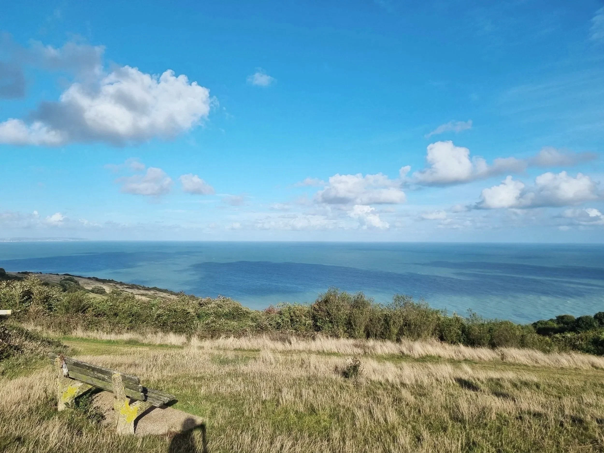 View of a coastal landscape with grassy foreground, bushes, a body of water, and a blue sky with scattered white clouds.