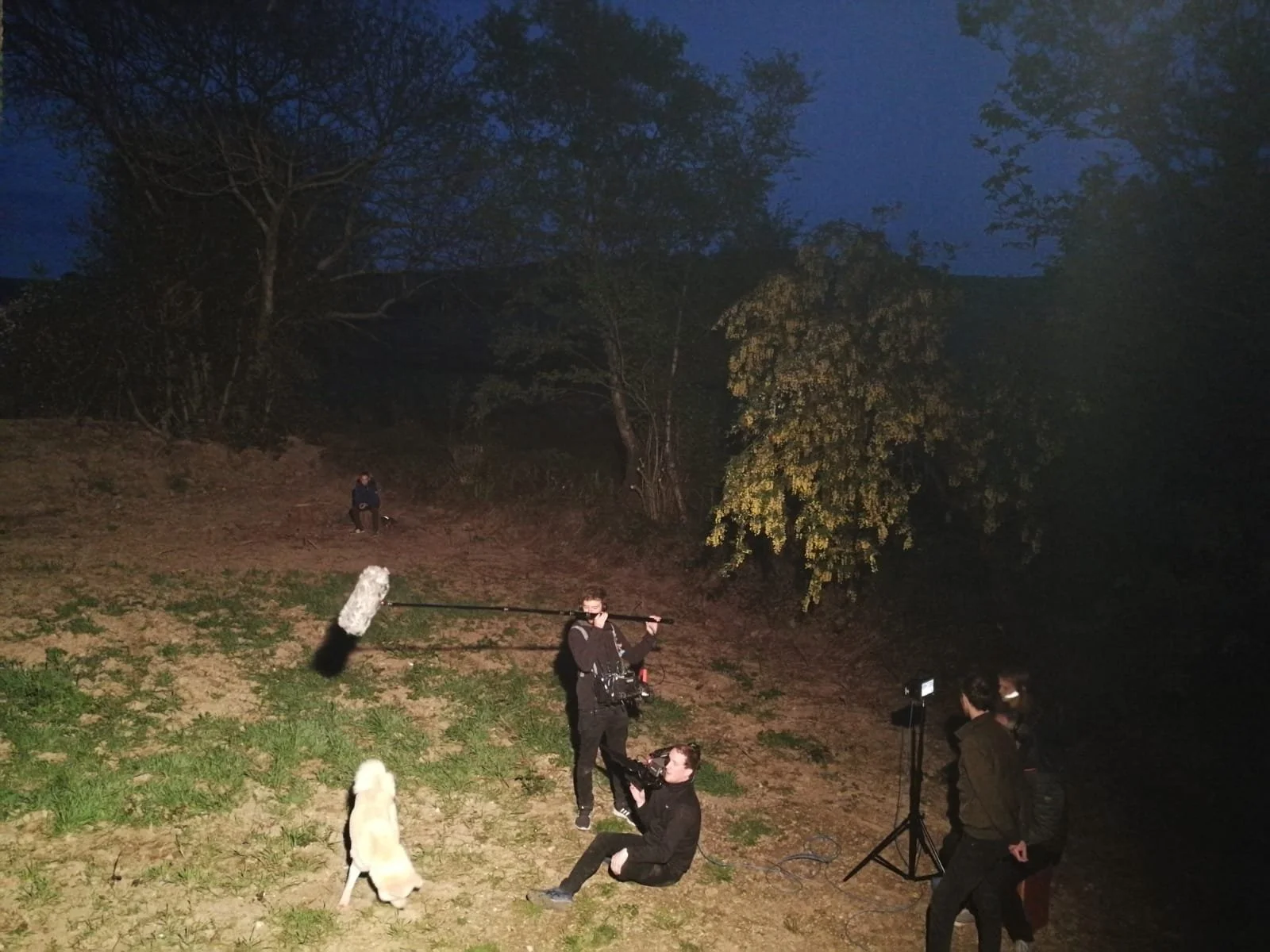 Filming crew setting up equipment and filming outdoors at dusk with trees in the background.