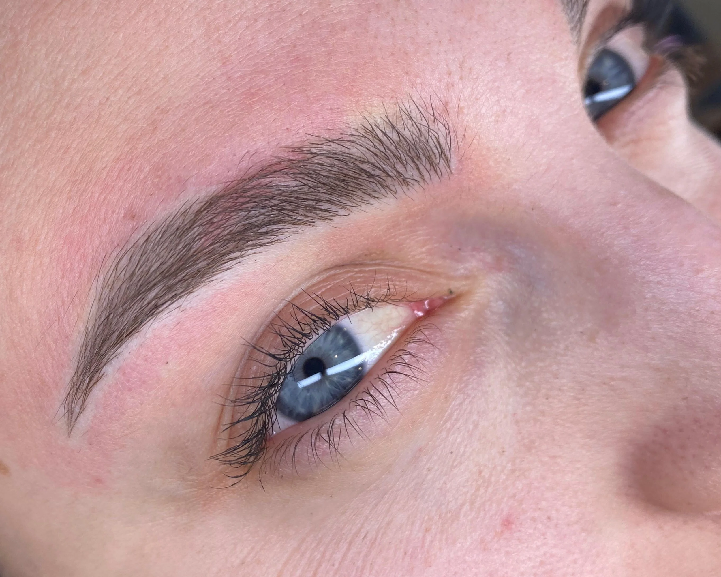 Close-up of a woman's eye with brown iris, long eyelashes, and well-defined eyebrow.