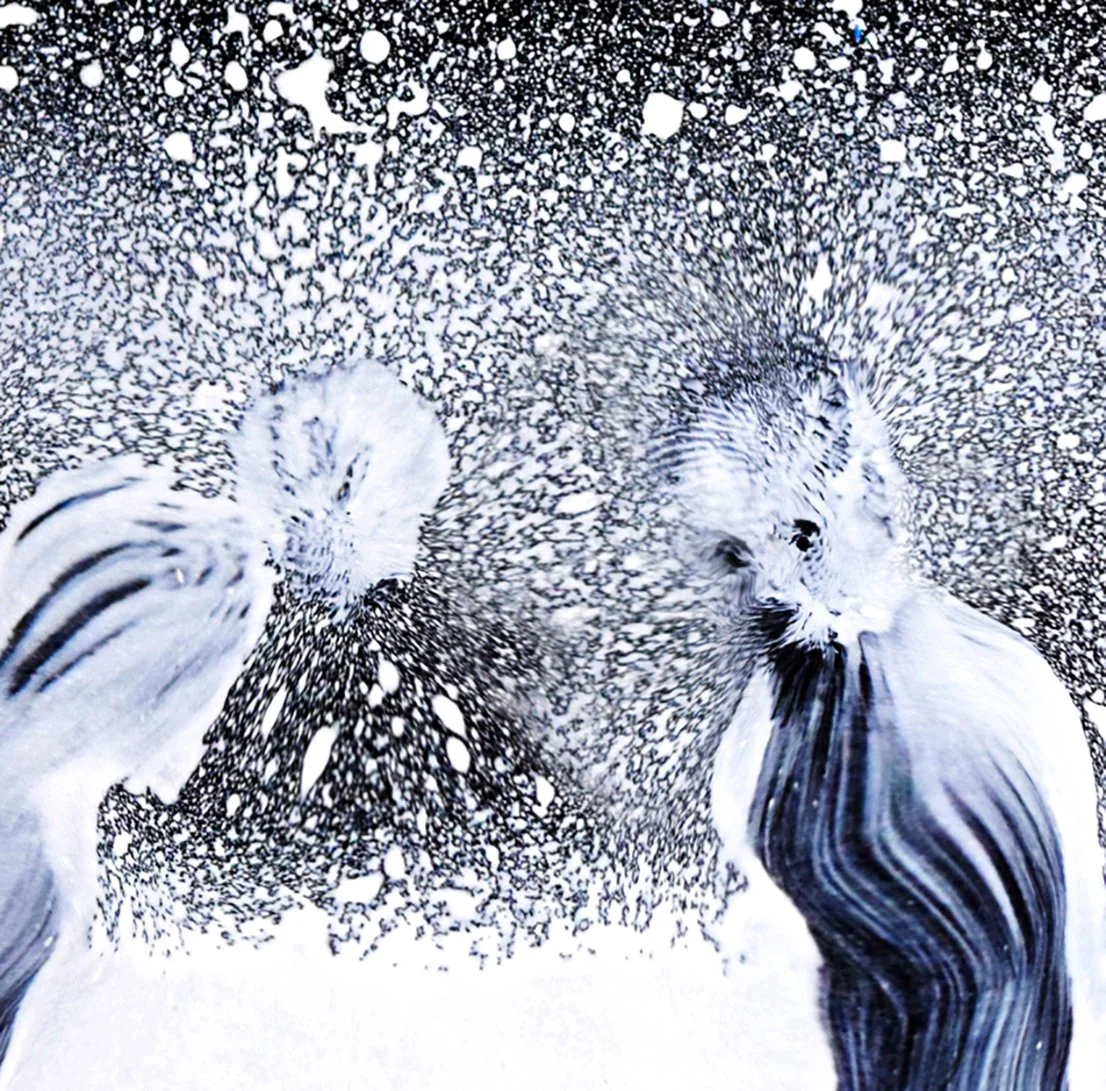 LAST INHABBITED PLACE ON EART.jpg