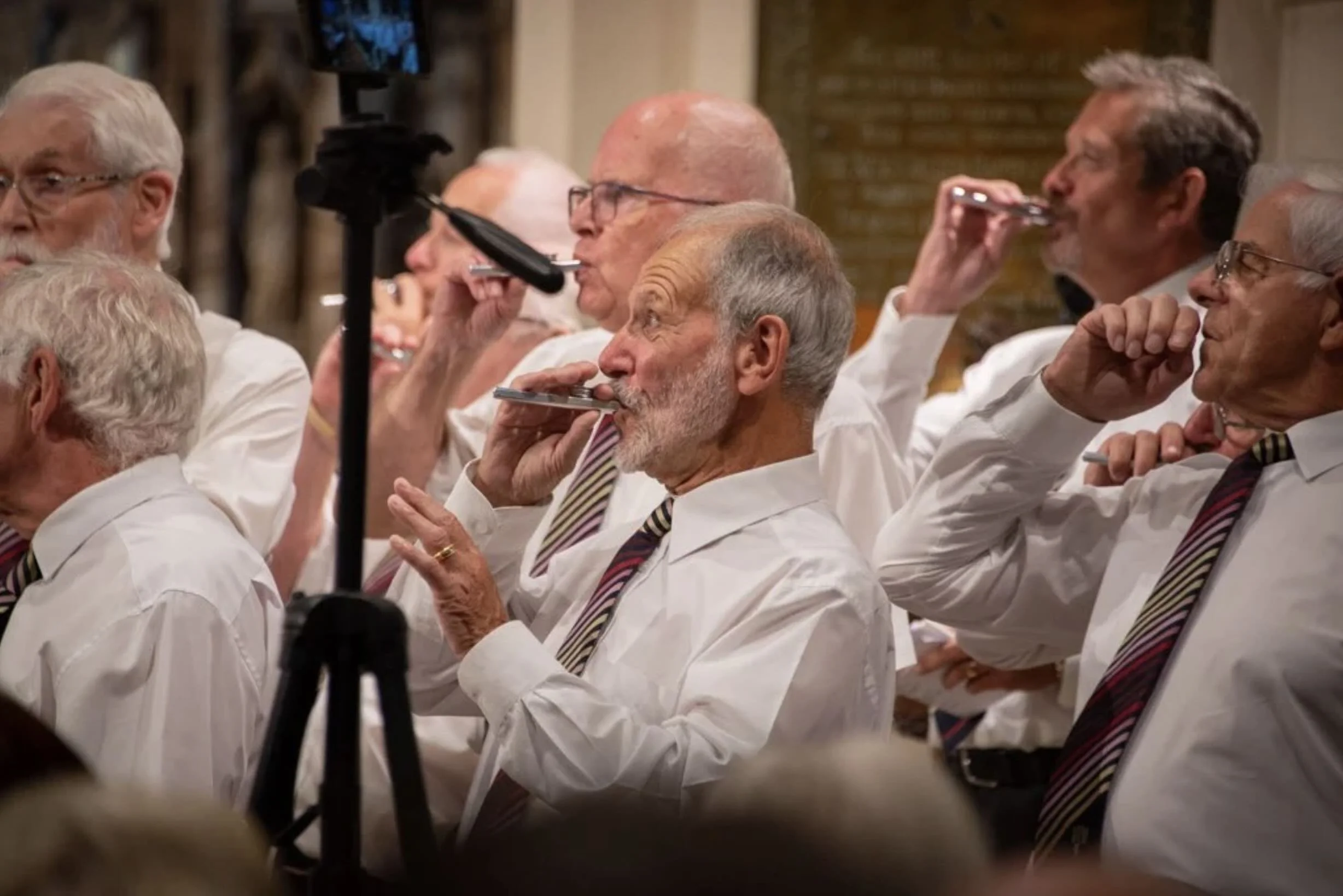 Several elderly men and women in formal white shirts and striped ties playing harmonicas during a performance.