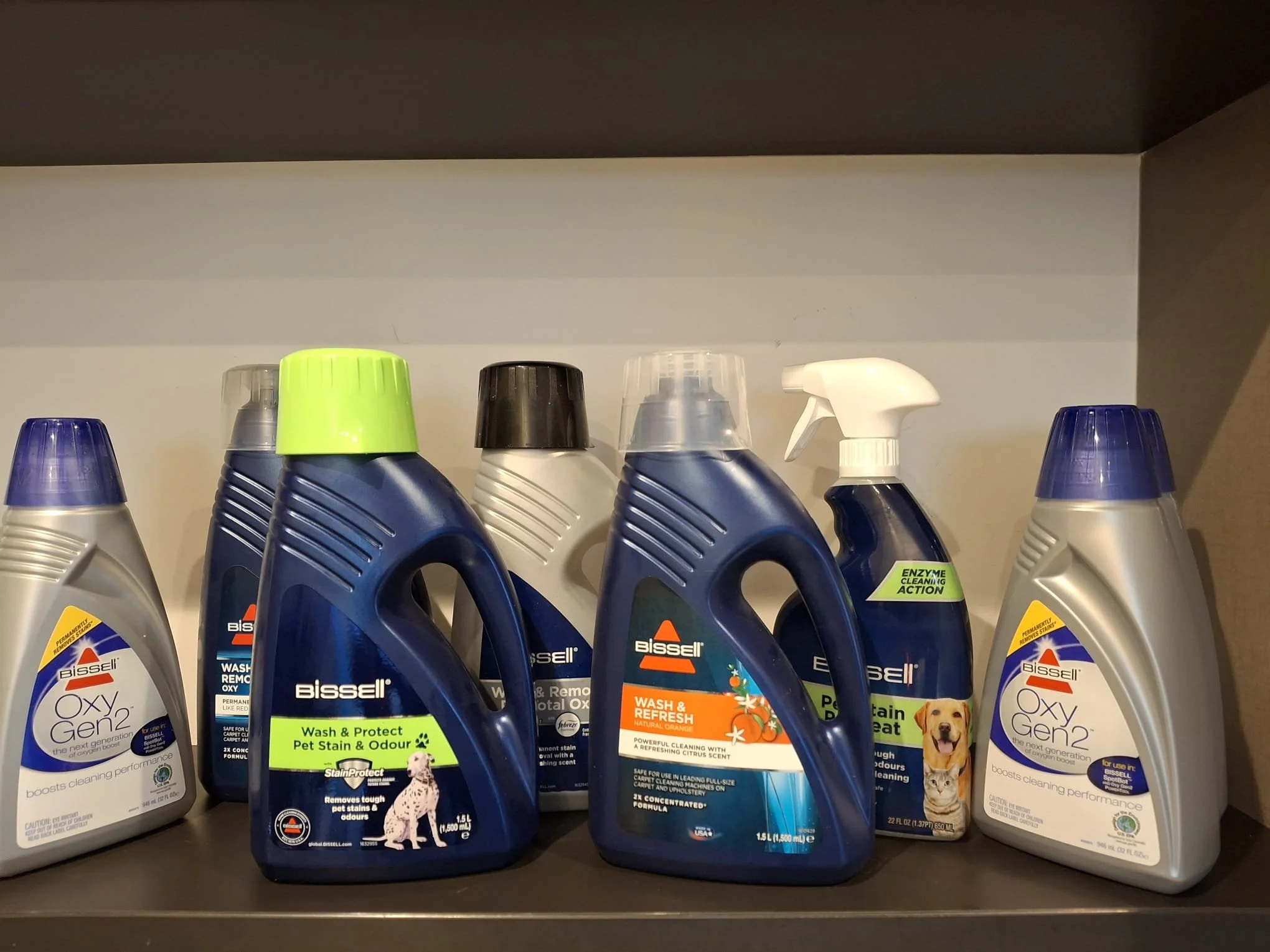 WhatsApp Image 2026-01-15 at 13.31.48.jpeg