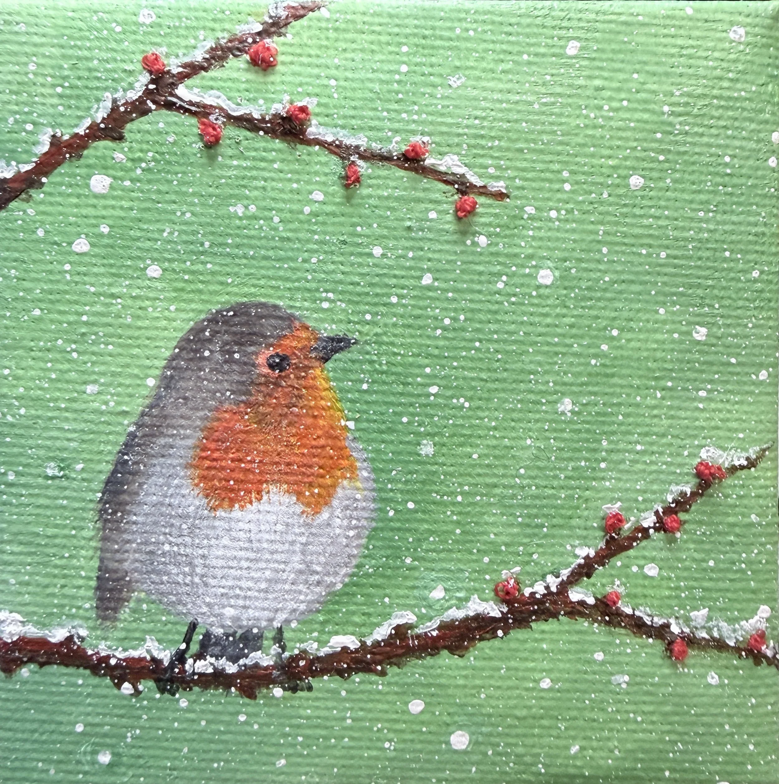 European Robin Winter Berries