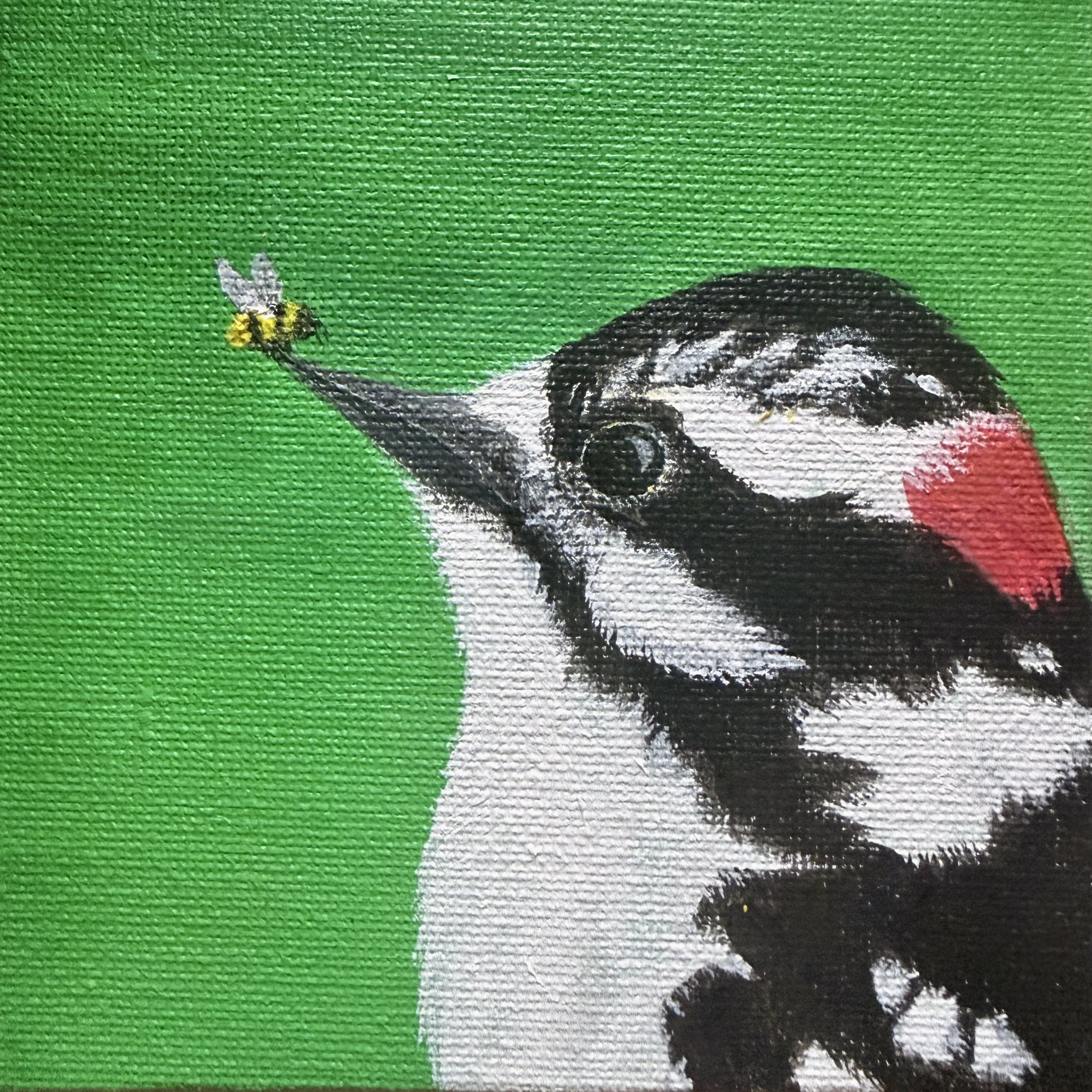 Downy Woodpecker with Bee