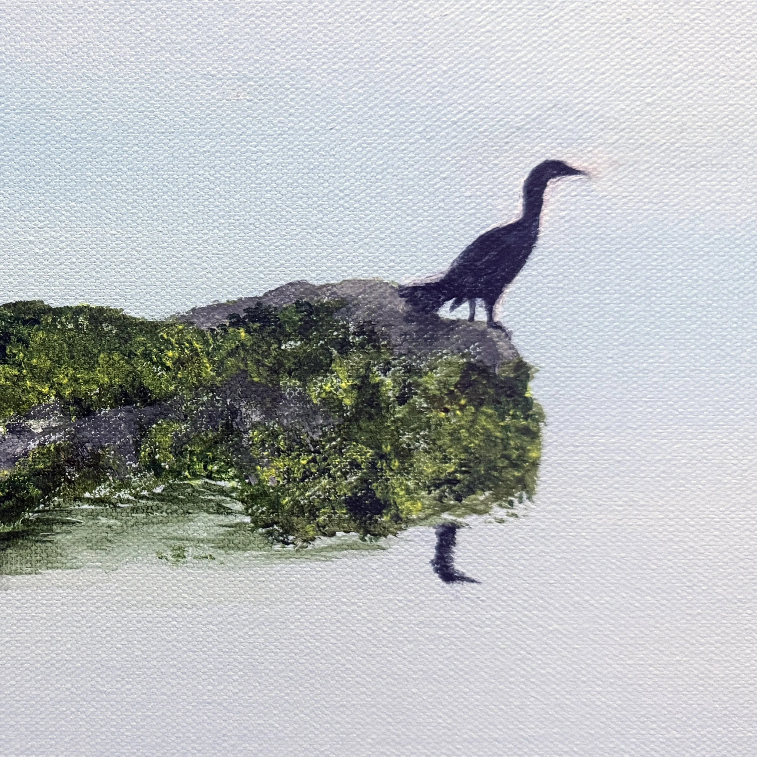 Cormorant Reflection 