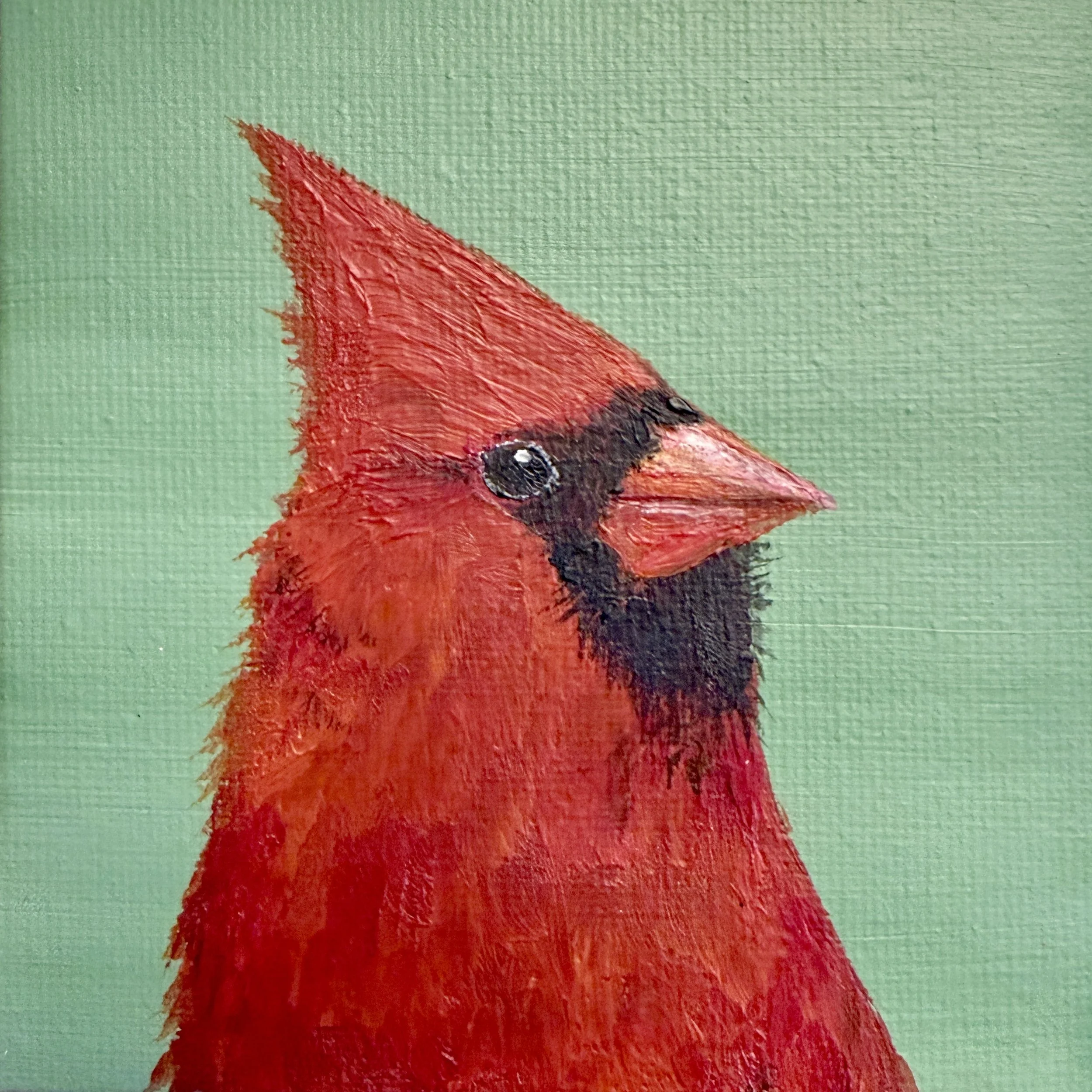 Northern Cardinal Portrait