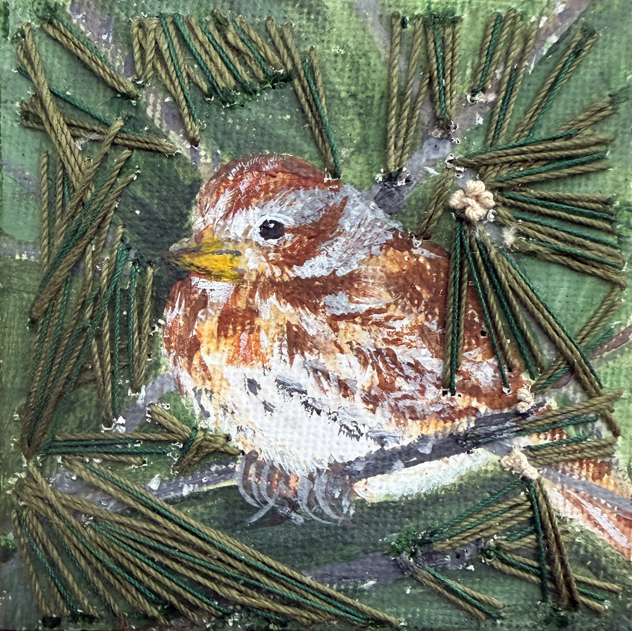 Fox Sparrow in Pine