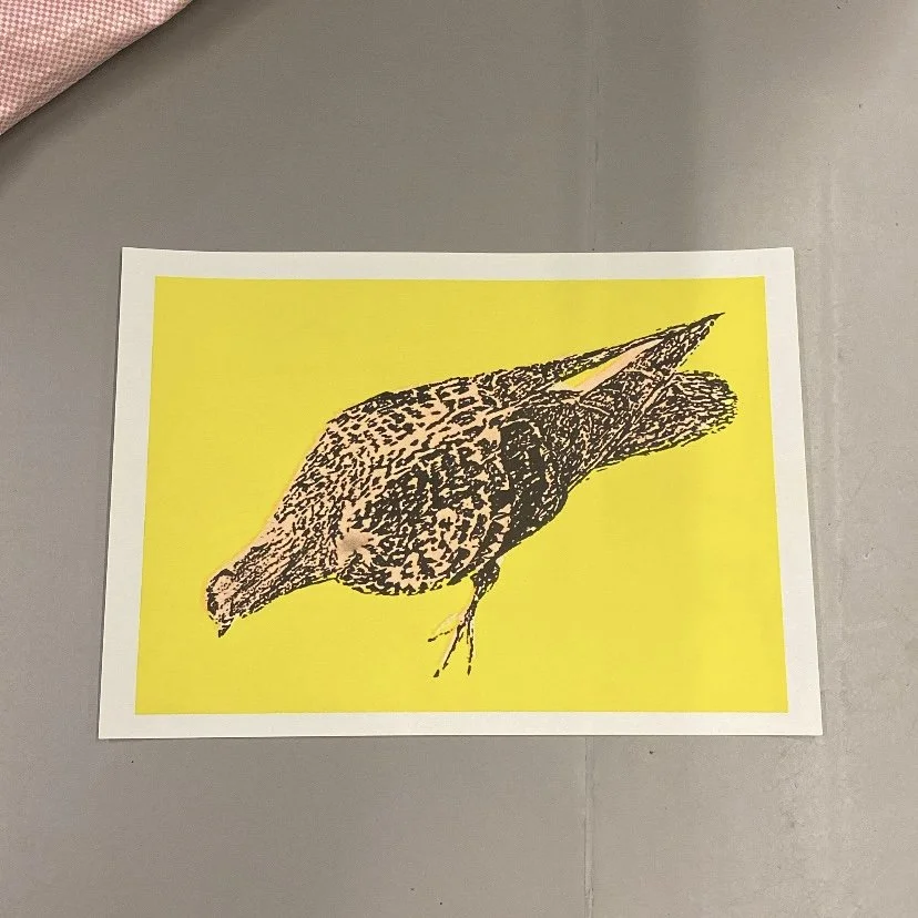 Pigeon Print