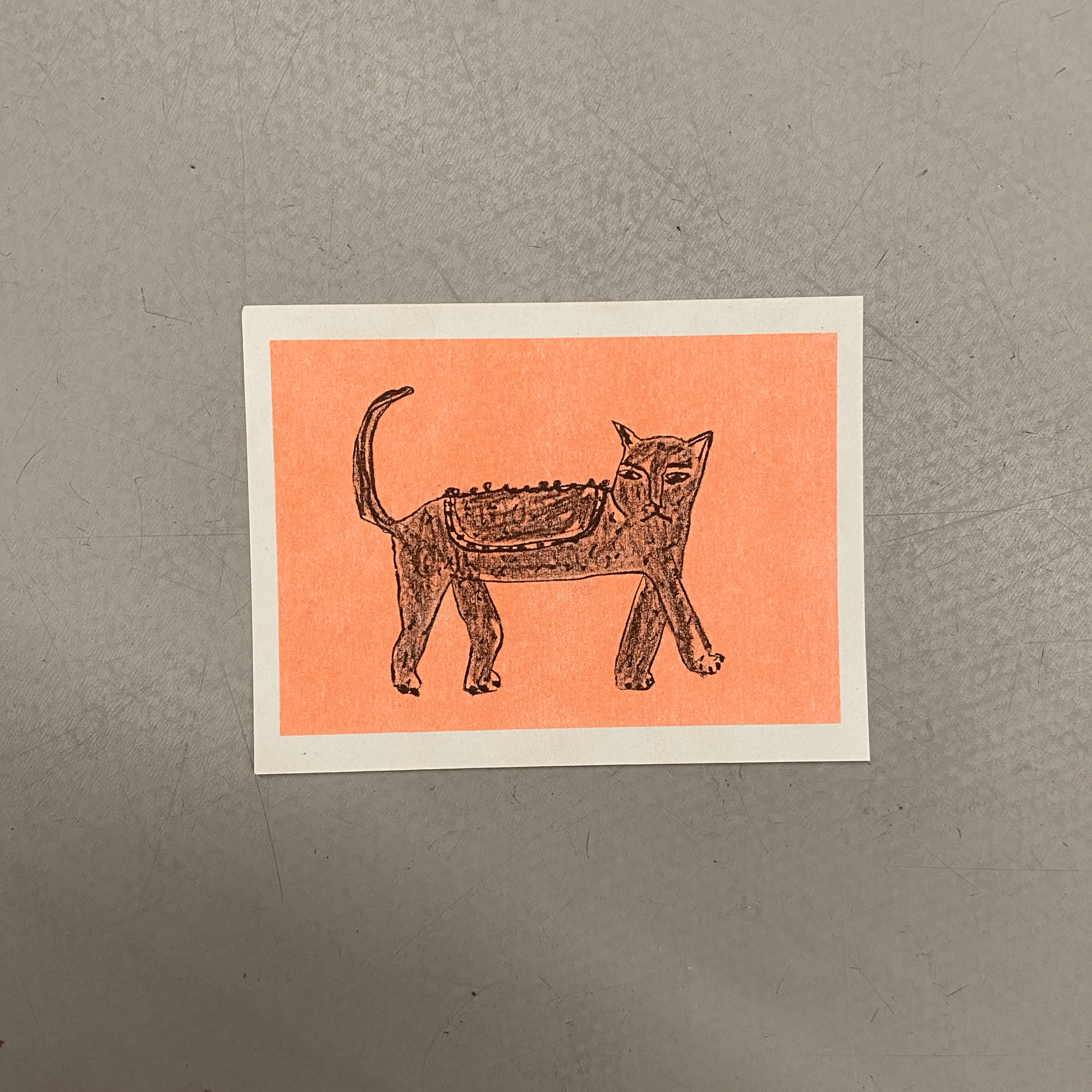 Cat Postcard Print